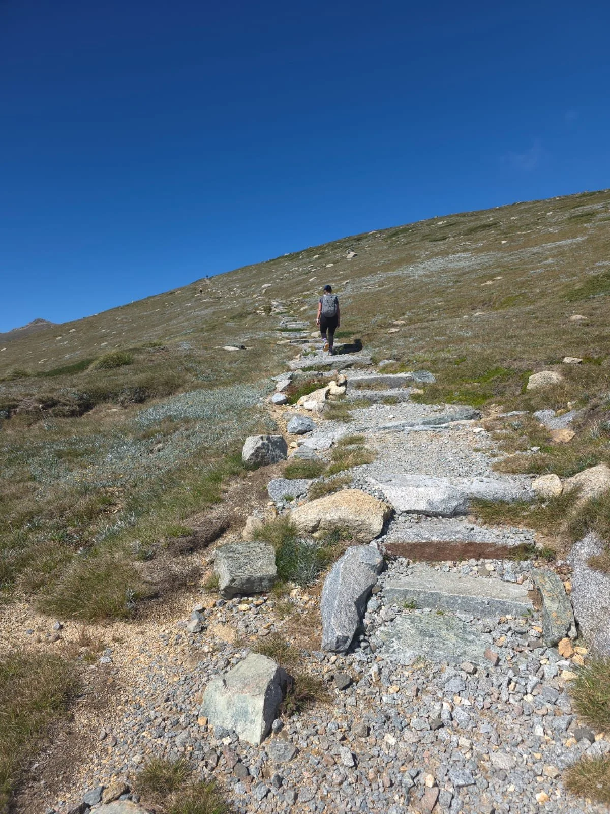 PHOTO-2026-02-13-14-06-26 2.jpg