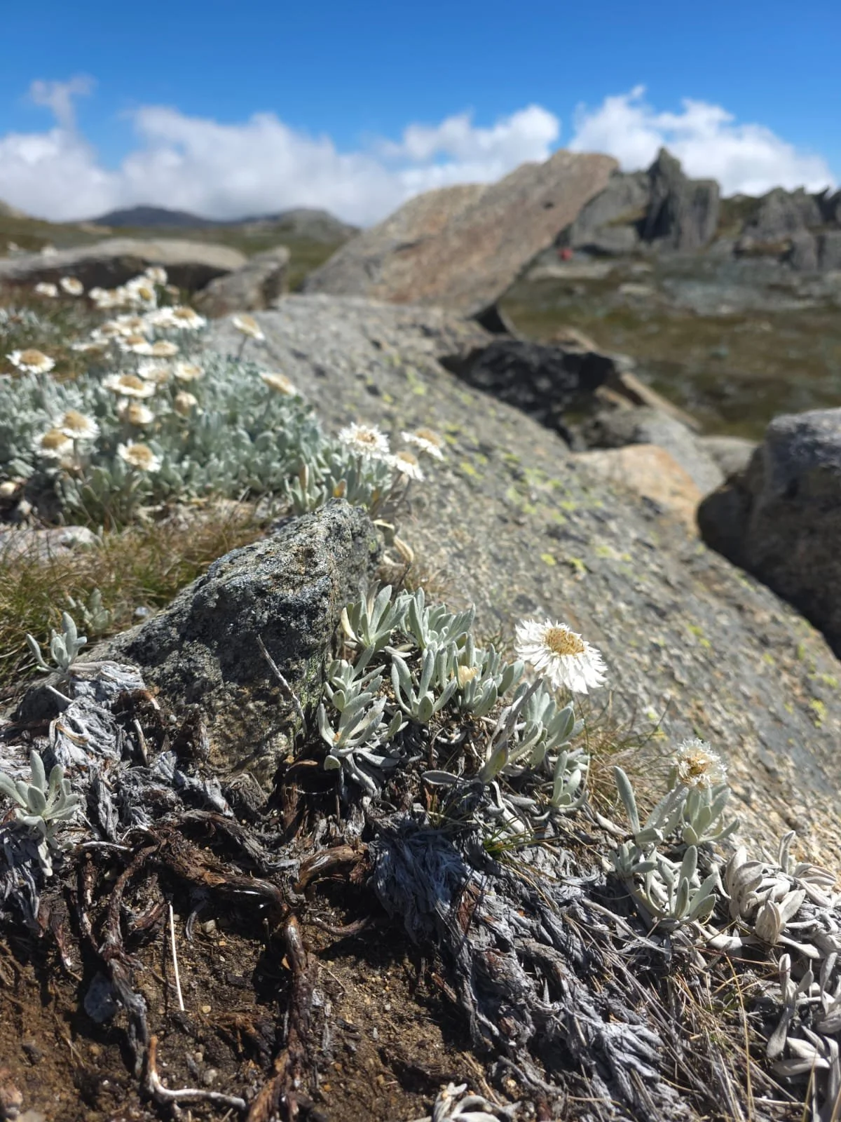 PHOTO-2026-02-13-14-06-27 2.jpg