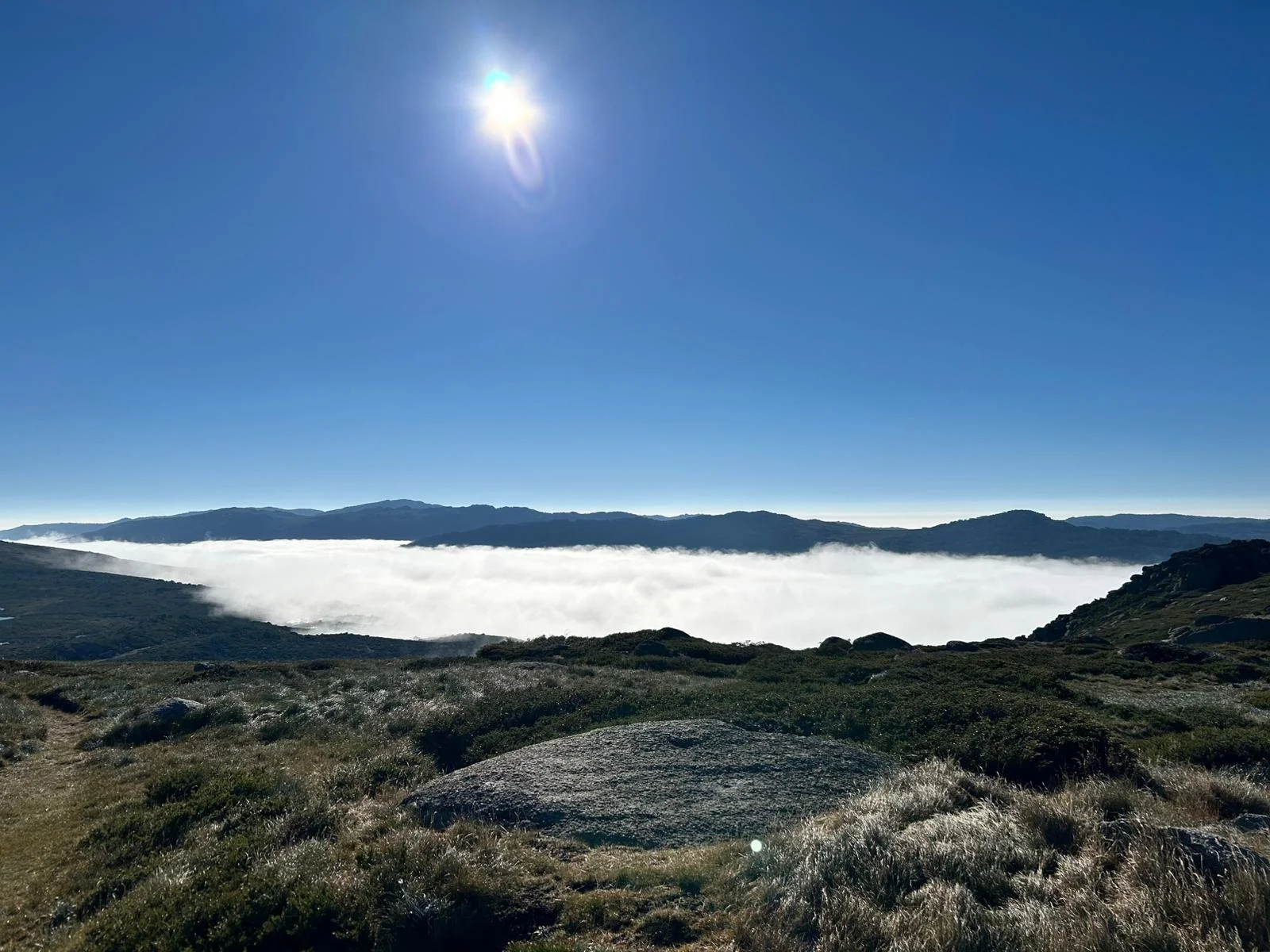 PHOTO-2026-02-13-14-56-57 3.jpg