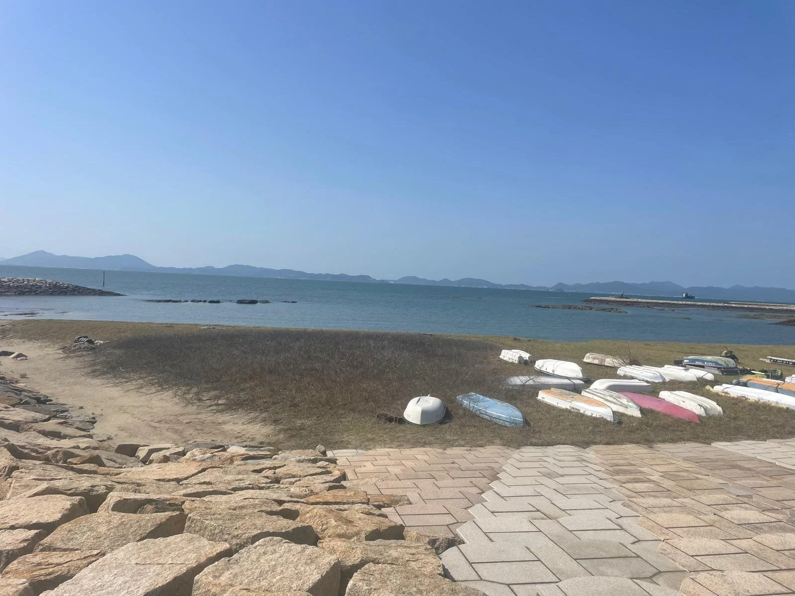 PHOTO-2026-03-06-13-39-04 2.jpg