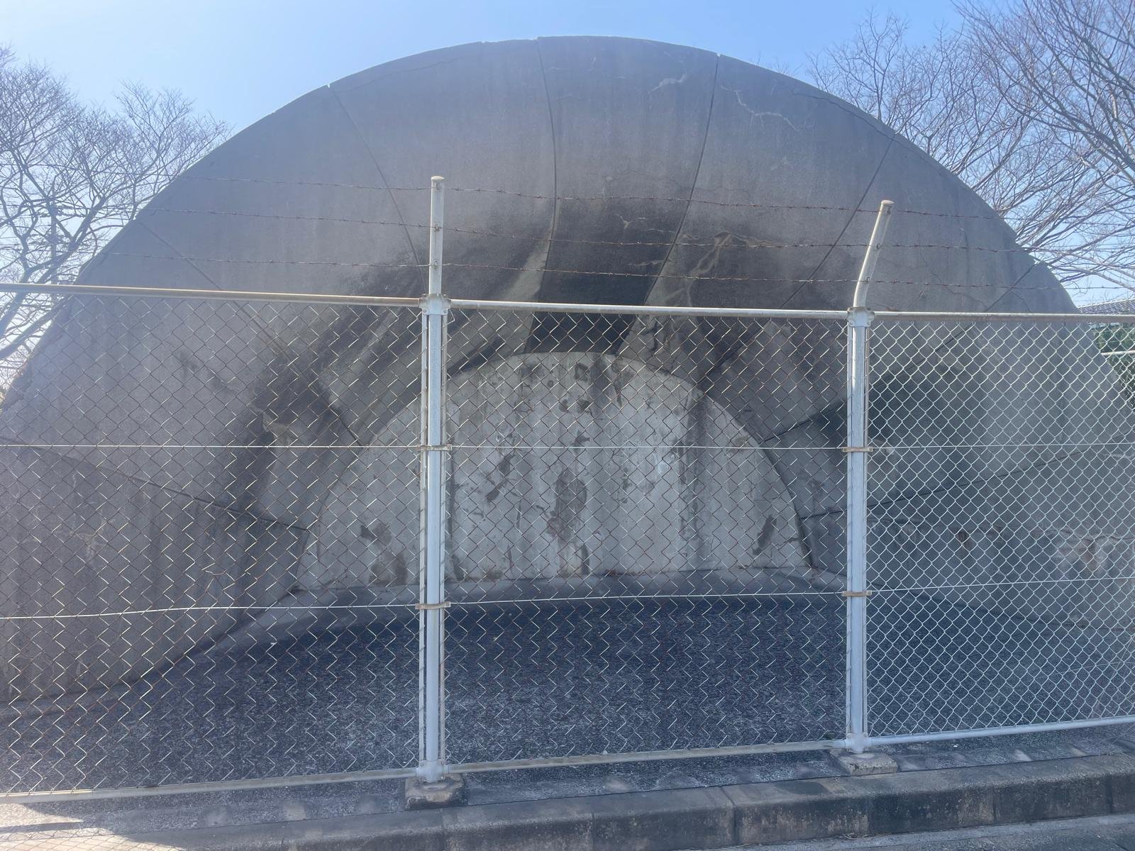 PHOTO-2026-03-06-13-39-04 3.jpg