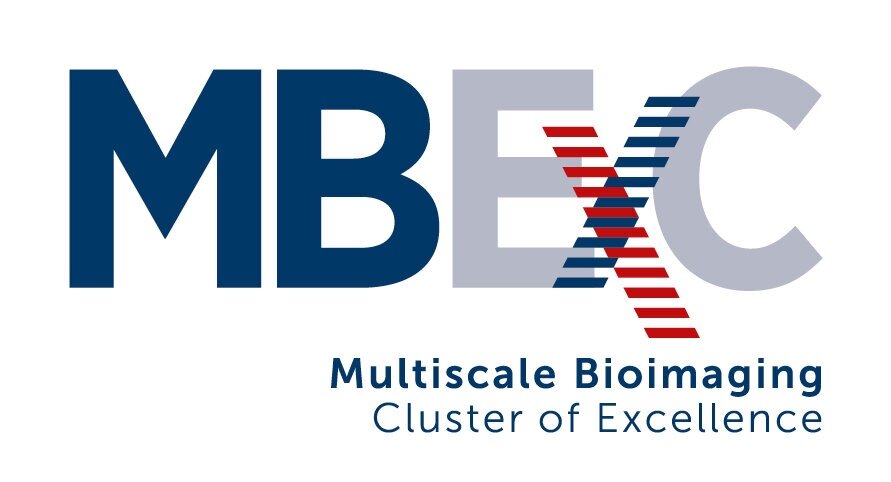 Multiscale Bioimaging