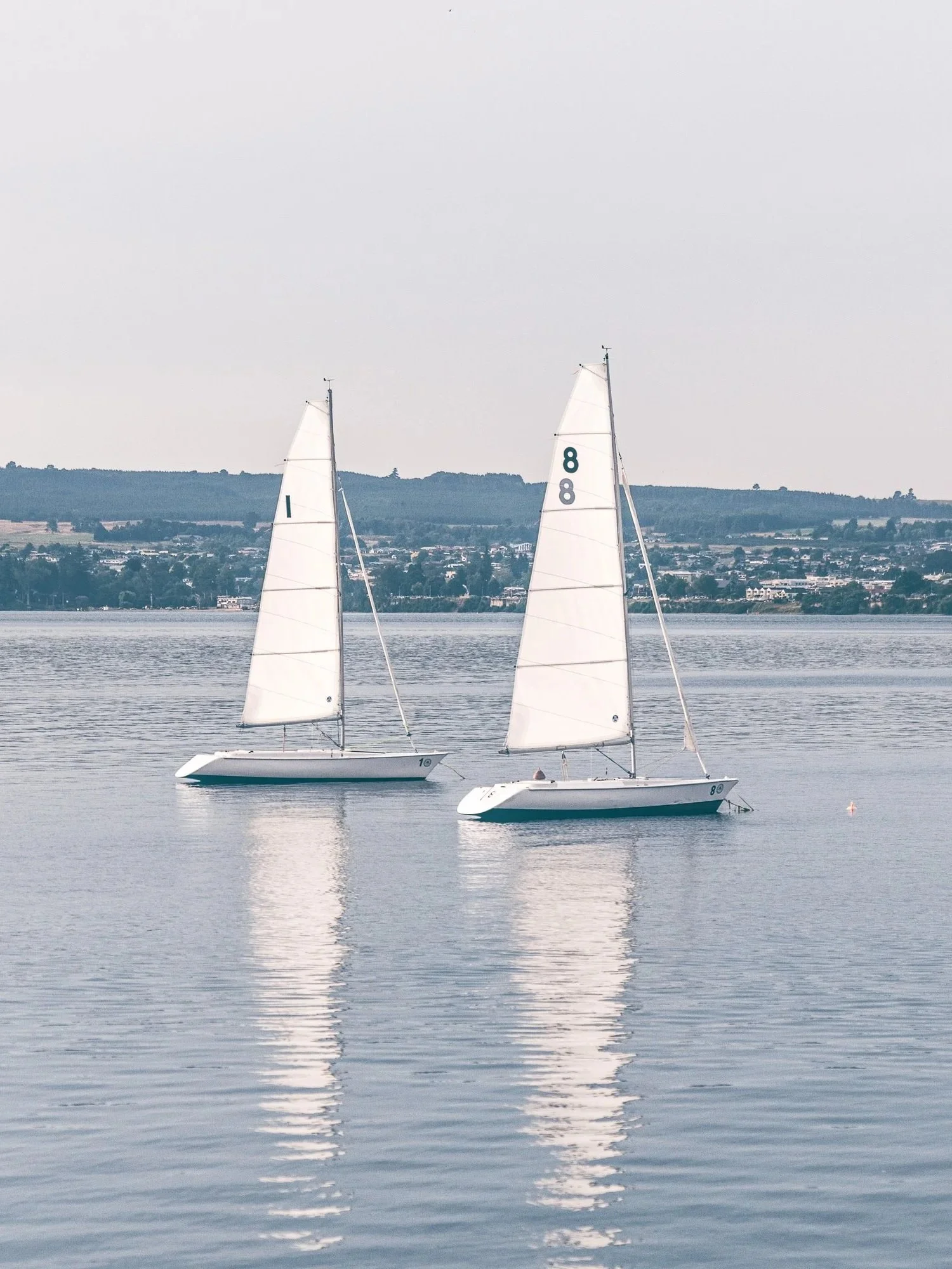 Sailboats on the calm waters of Lake Taupō at Two Mile Bay in Waikato, New Zealand, a popular destination for sailing, paddleboarding, and lakeside relaxation on the North Island.