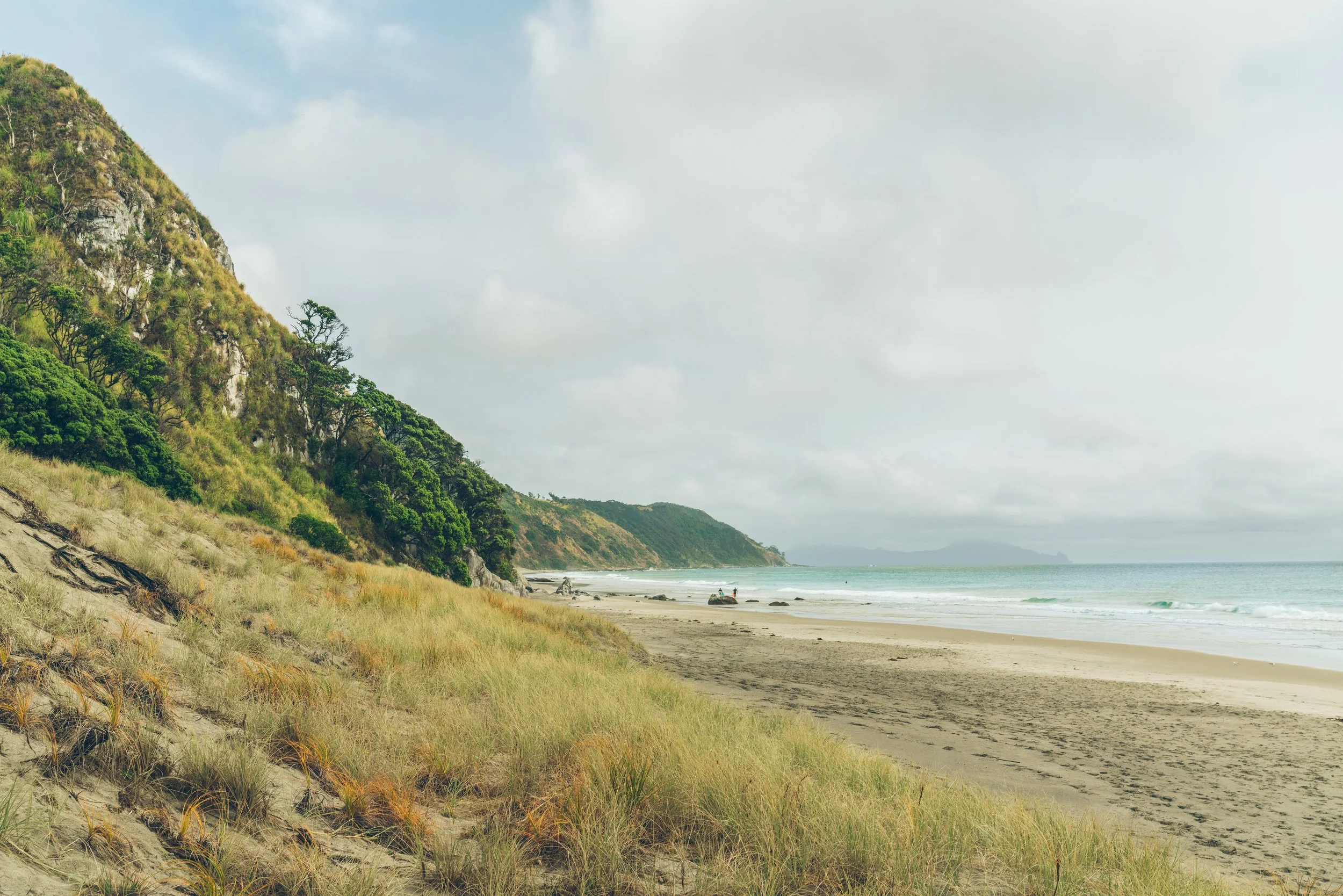 A sandy beach with gentle waves, bordered by grassy dunes and a forested hillside under a cloudy sky.