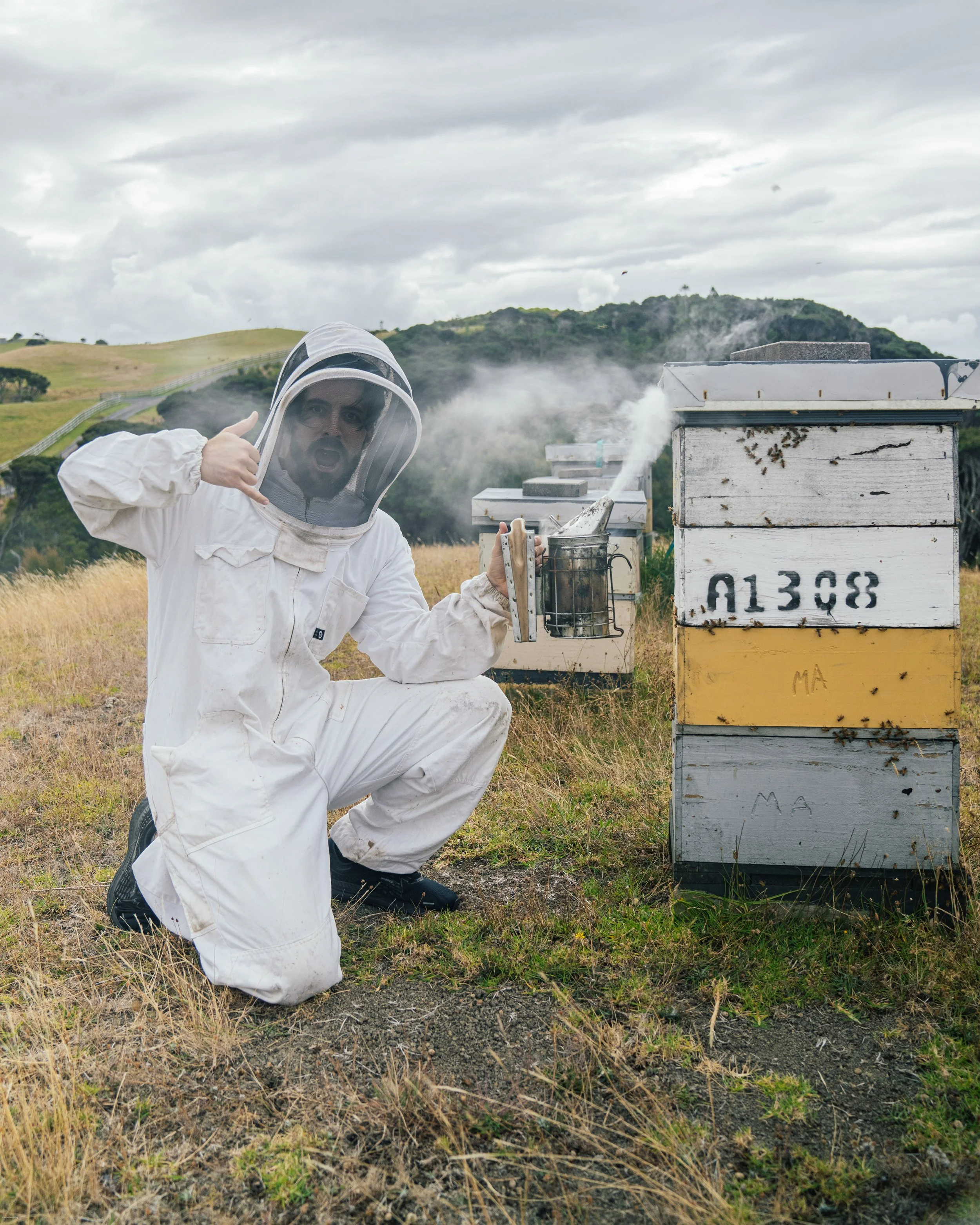Mānuka honey beekeeping in Mangawhai Heads, where Alexander Ayling visits active beehives to learn how New Zealand's world-famous Mānuka honey is produced in Northland.
