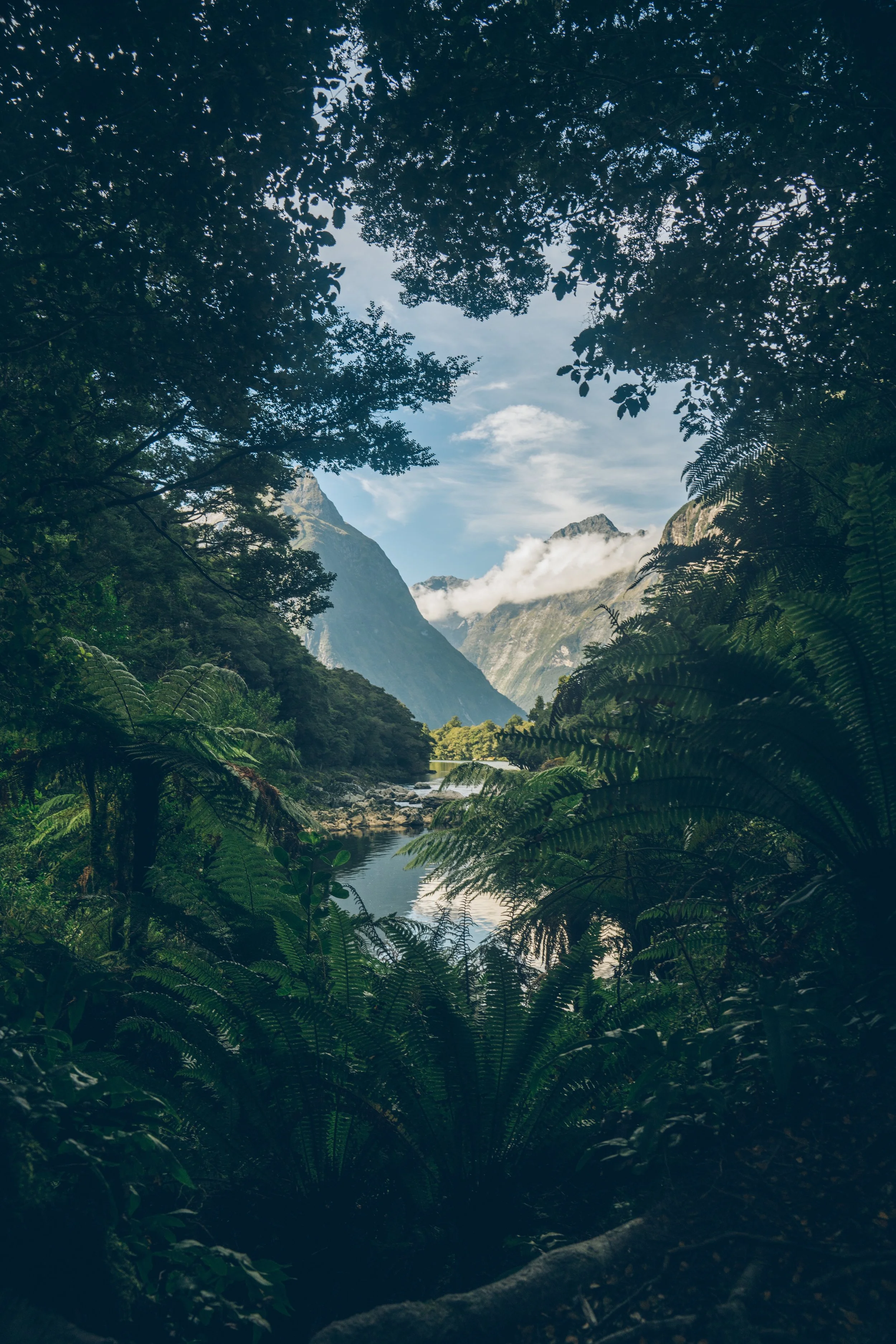 A glimpse of Milford Sound from the Milford Track Great Walk