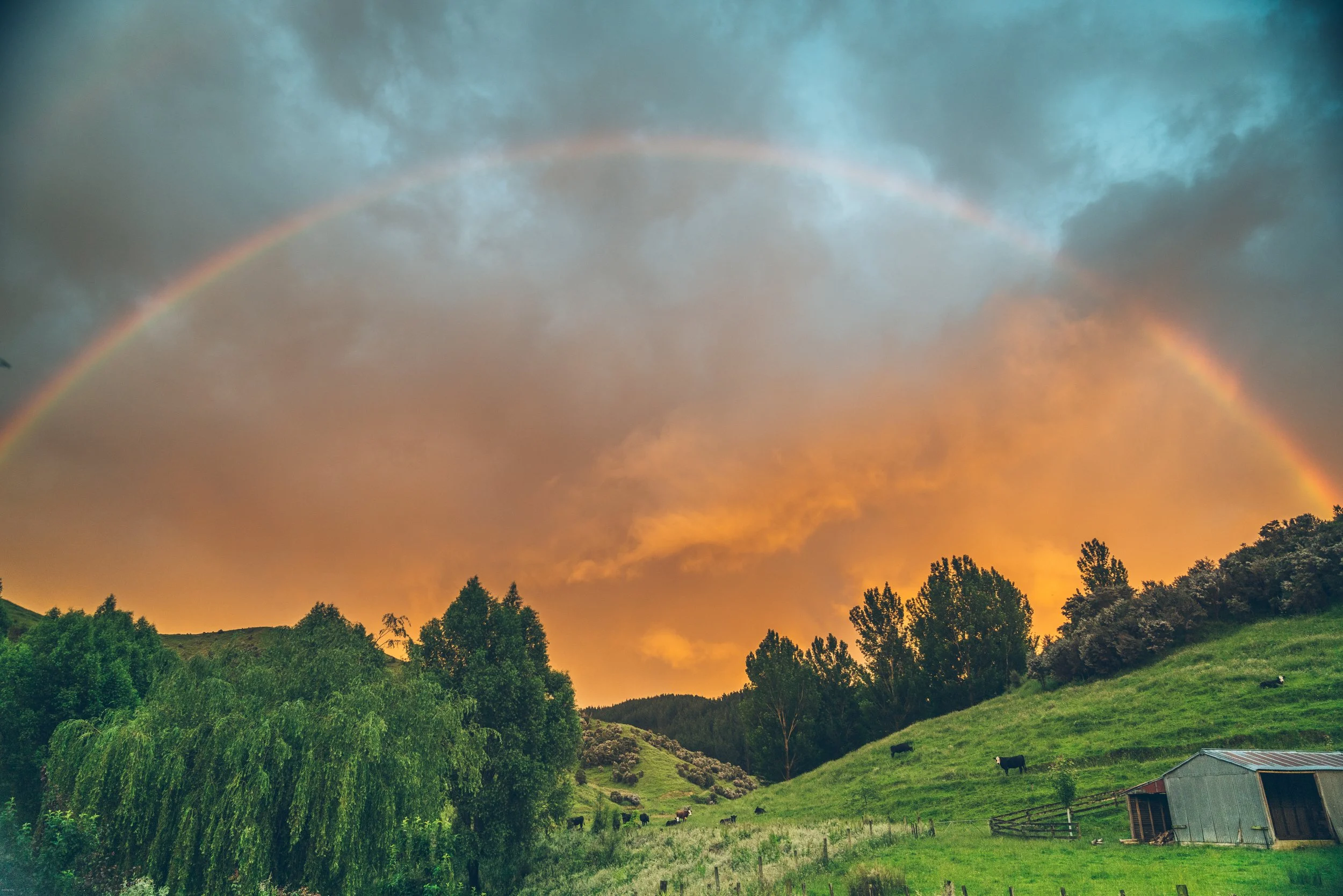 Wairarapa rainbow sunset stretching across rolling farmland after a summer storm, showcasing the dramatic rural landscapes that make New Zealand's Wairarapa region so beautiful.
