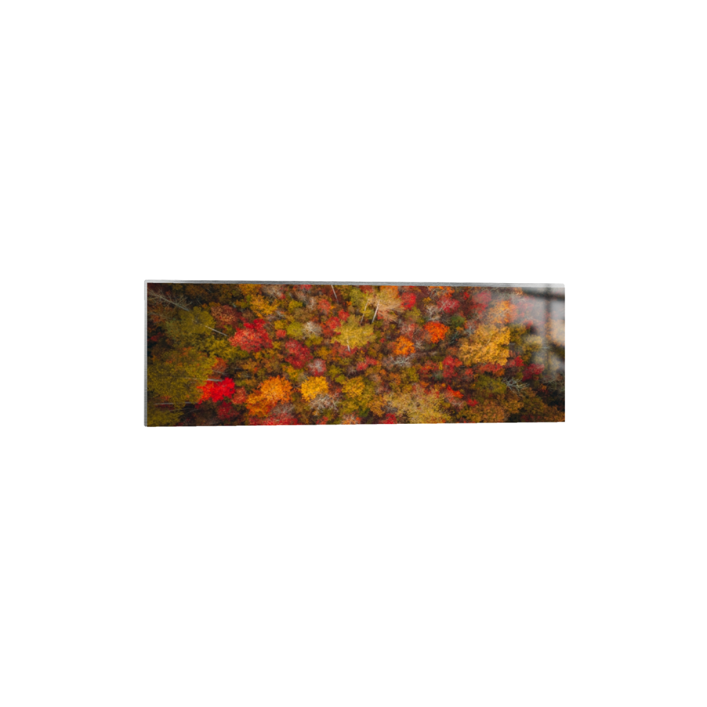 ptq_13_2_0_1097_9600_3200_0_false_ffffff_0_0_.png