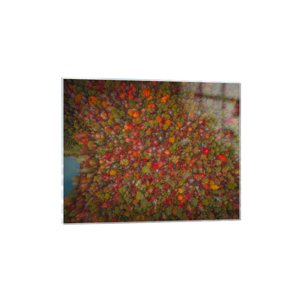 ptq_17_6_996_0_6742_5394_0_false_ffffff_0_0_.png