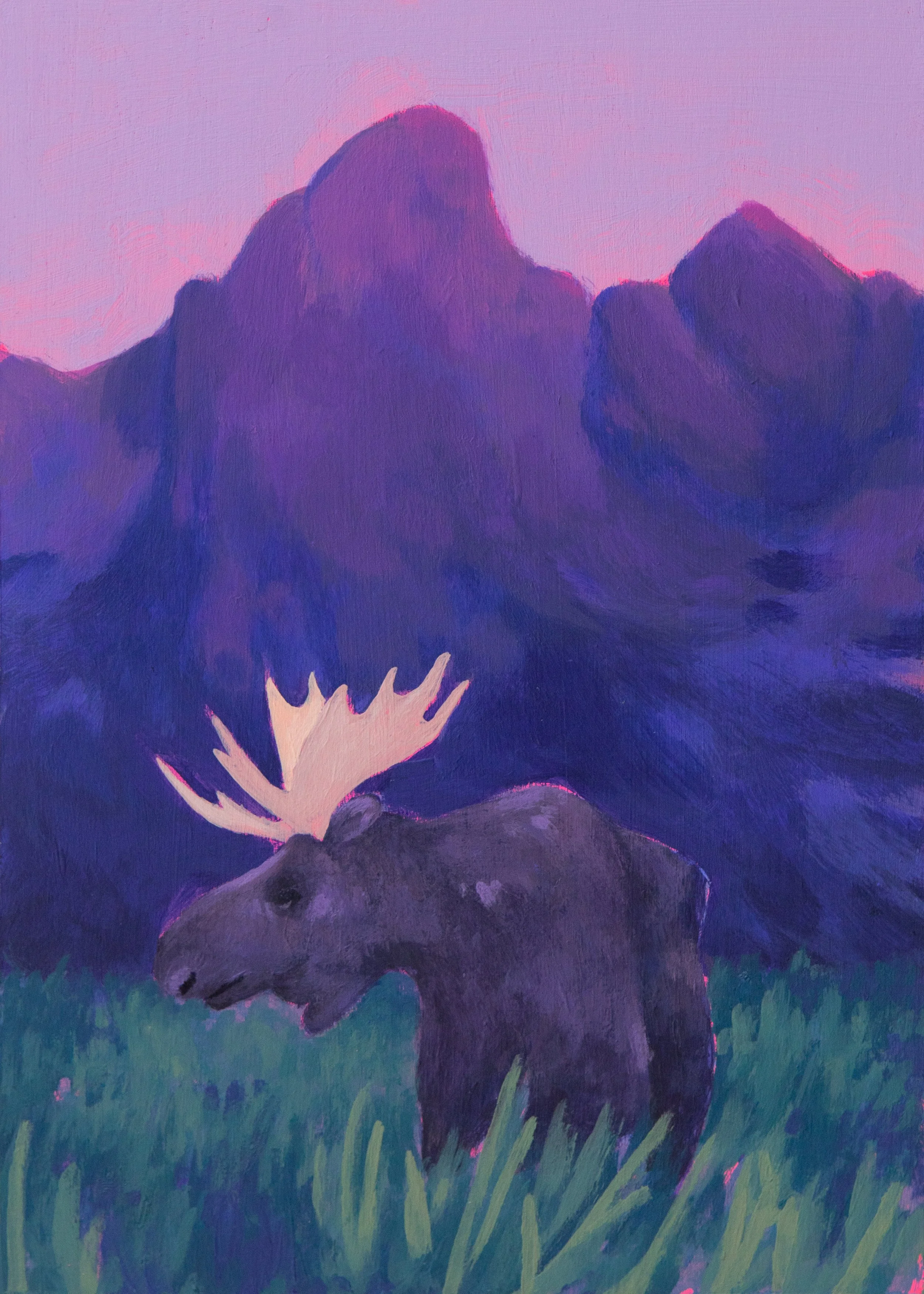 Watcher of the Vallery.jpg