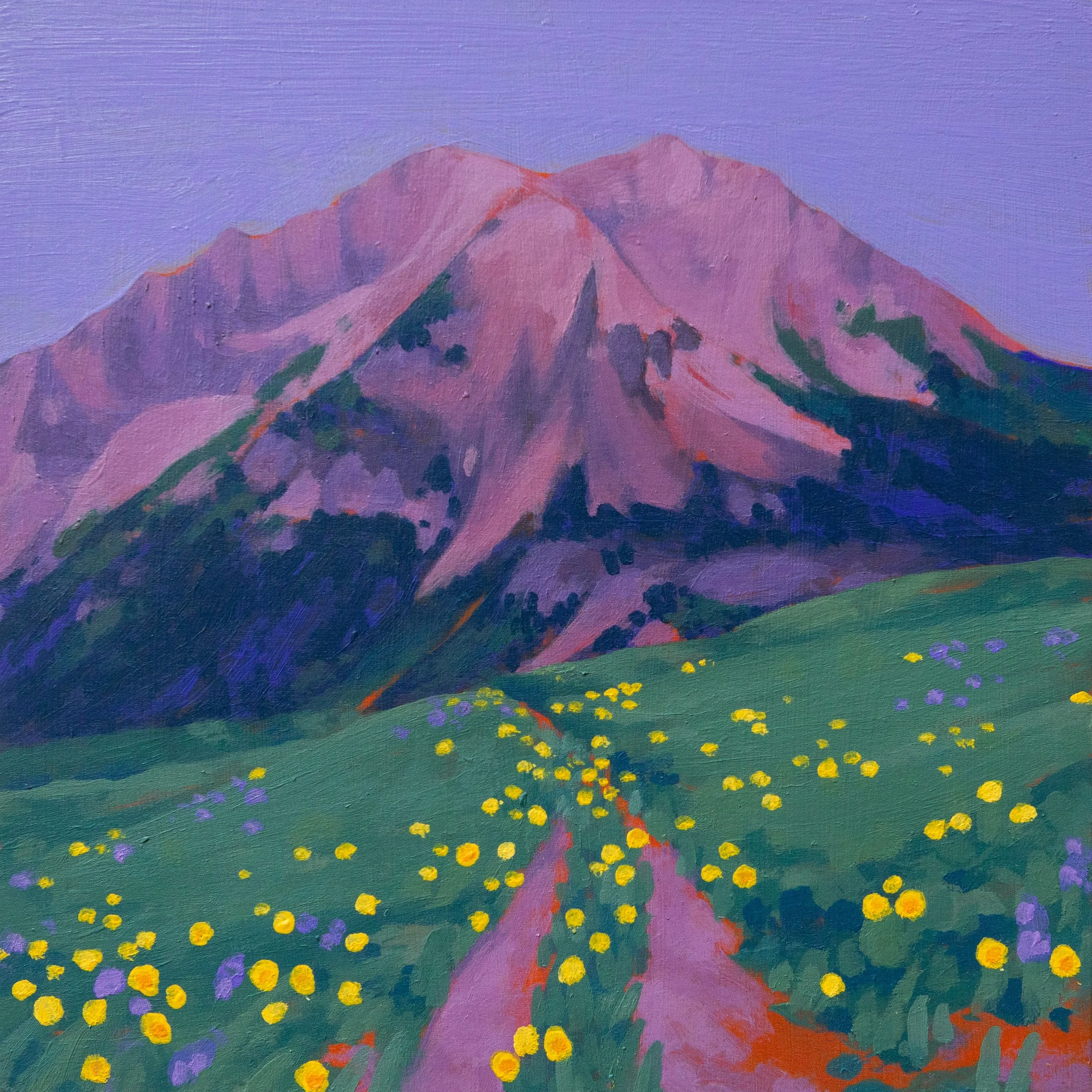 Among the Wildflowers.jpg