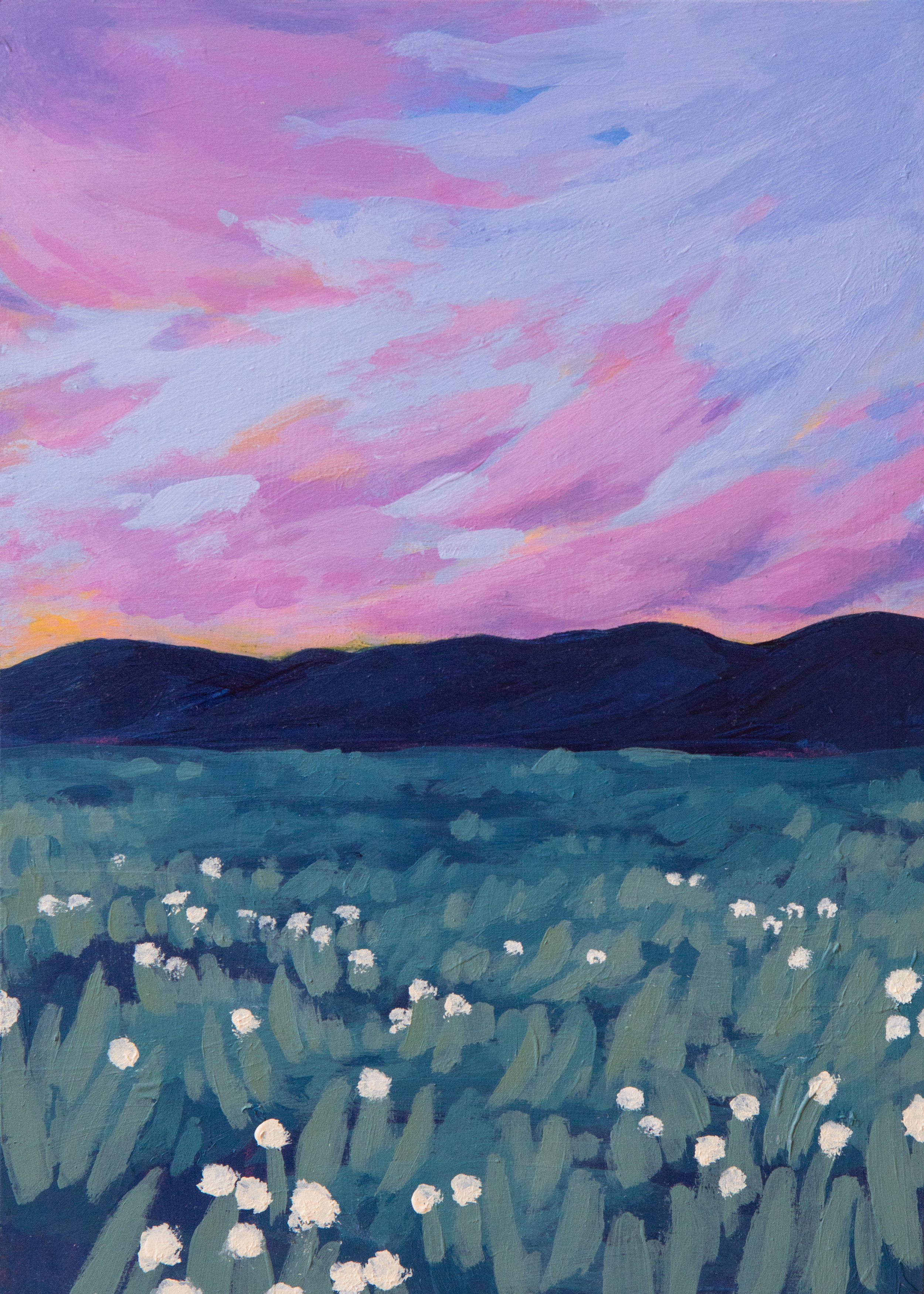 Big Sky Print