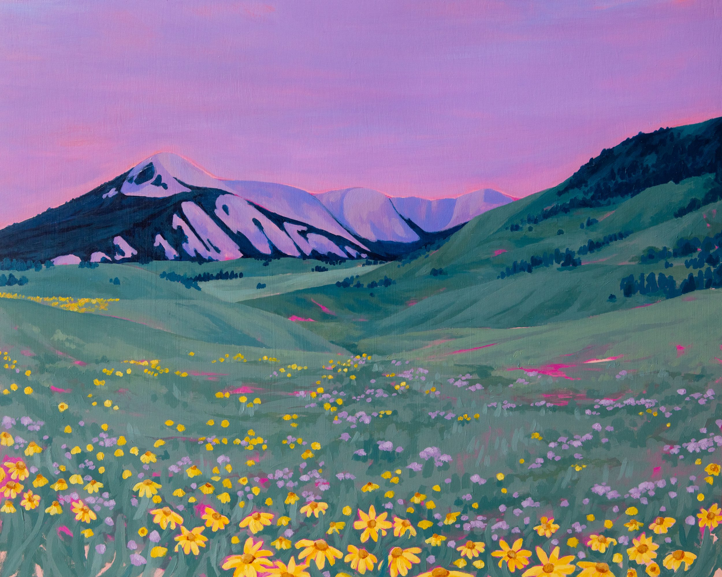 Wildflowers in Crested Butte