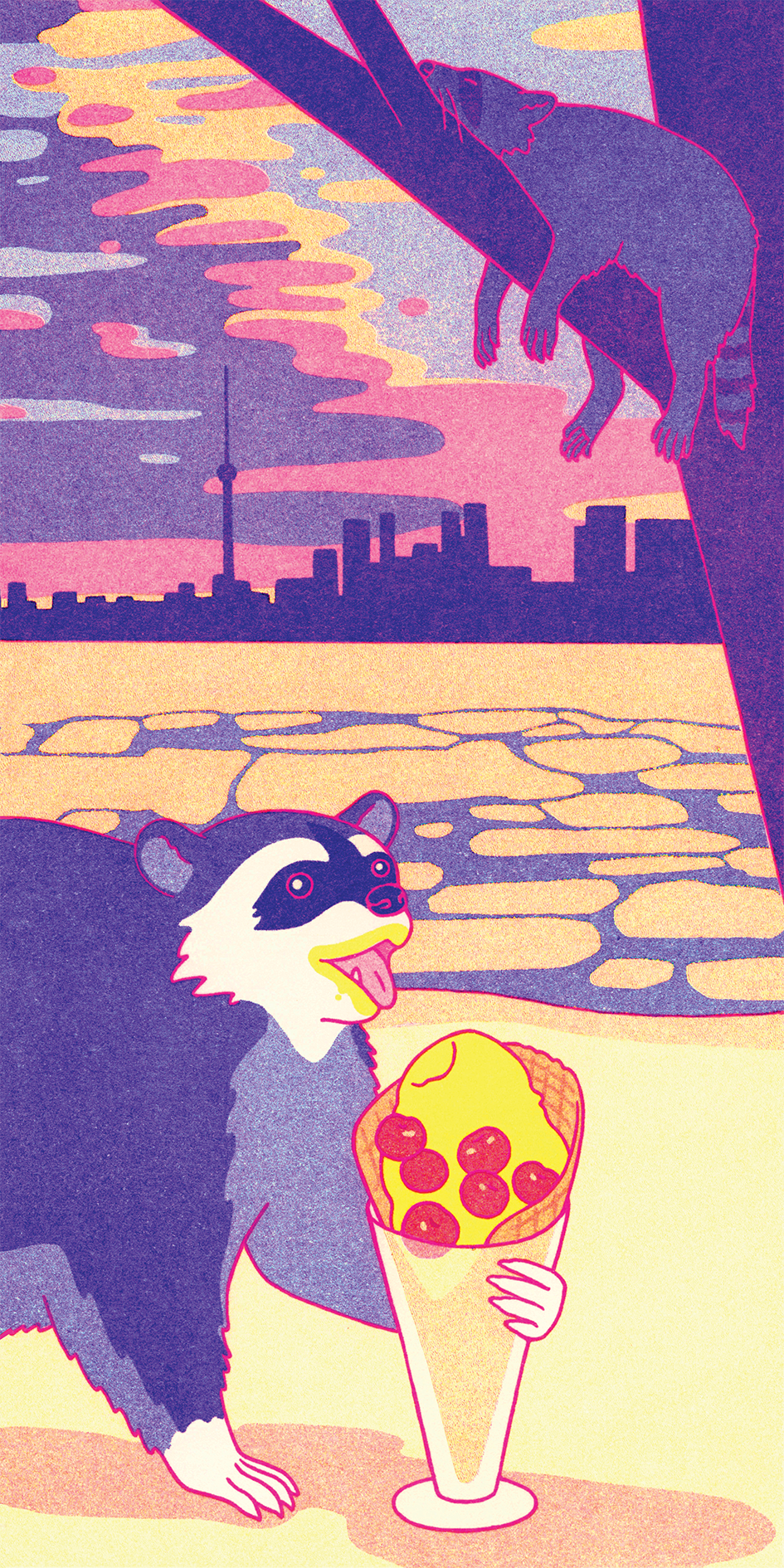 Raccoon_Front.png