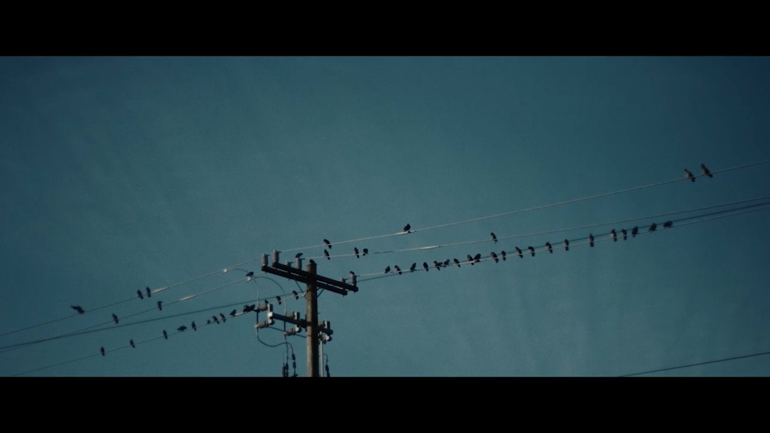 Screen Shot 2022-02-16 at 2.31.26 PM.png