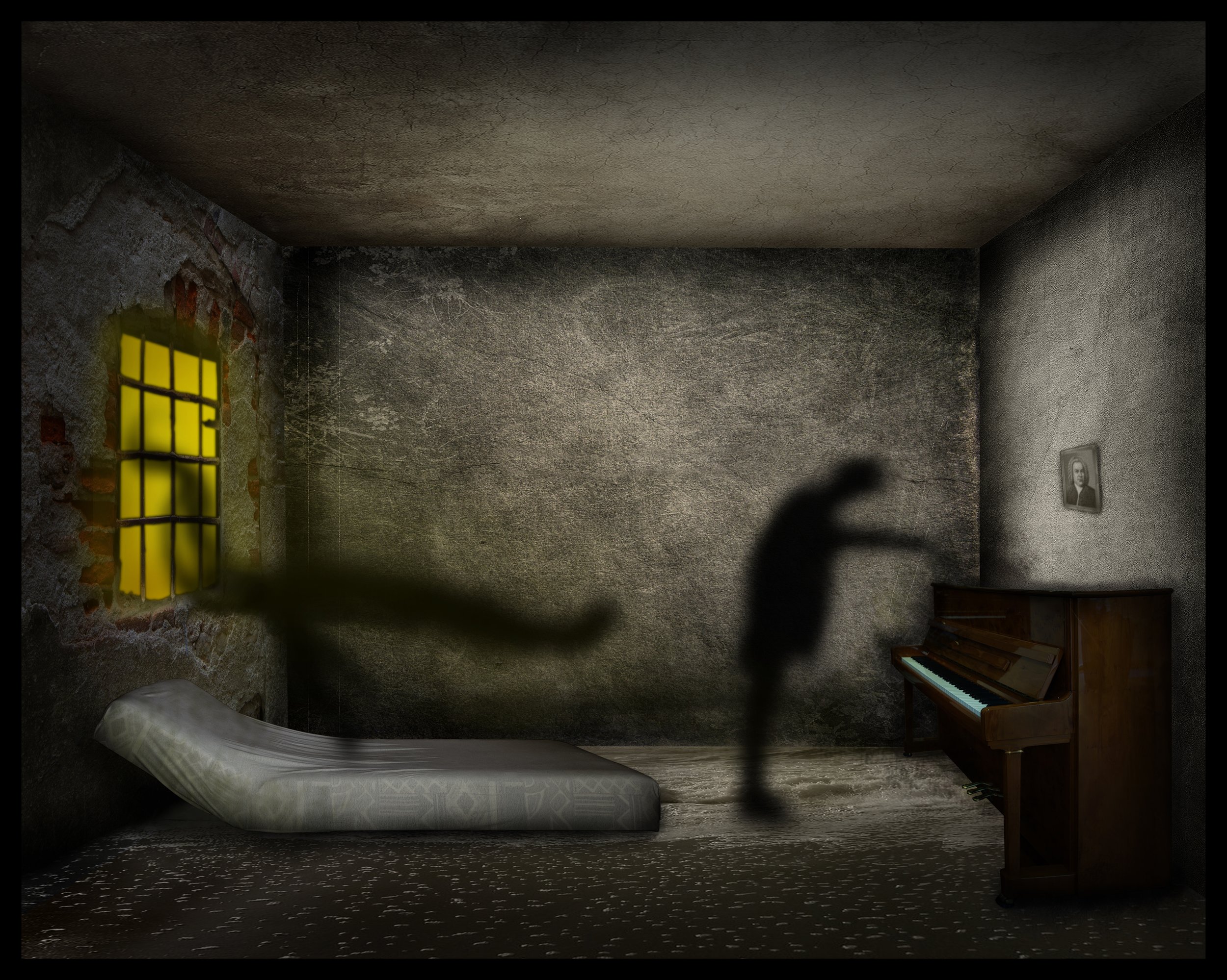 Shadow_Final_22_cm.jpg