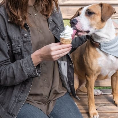  woman wearing a light jacket sits beside her rescue dog wearing a bandana and feeds him a frosty paw ice cream cone, a dog safe chilled treat 