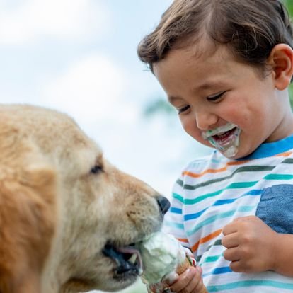  little brunette boy smiles wide while feeding his little dog a frosty paw 