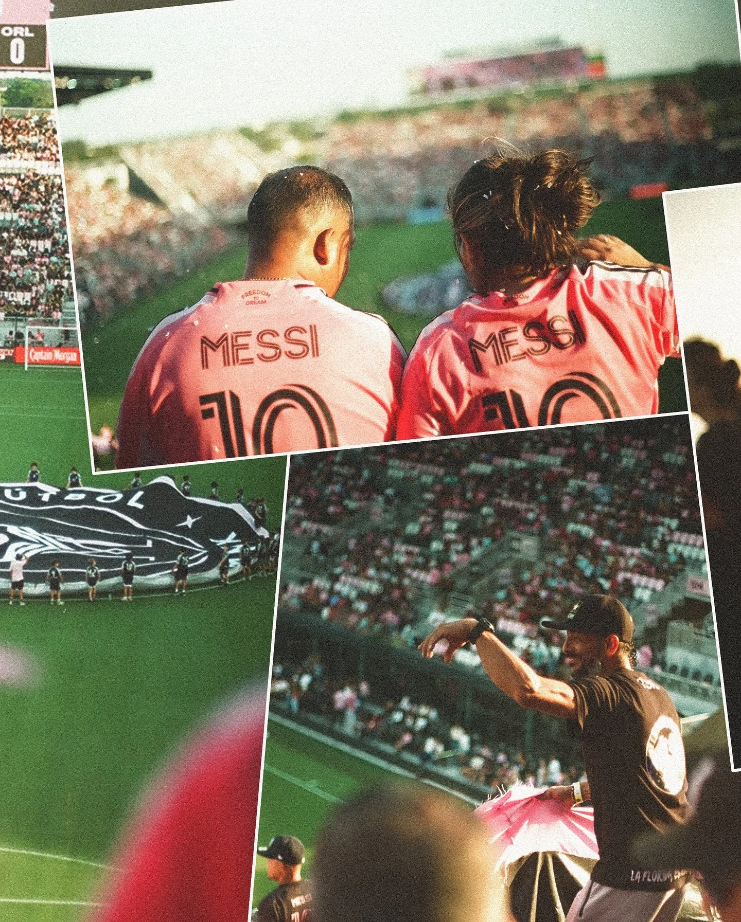 [image] - 6583535.jpeg