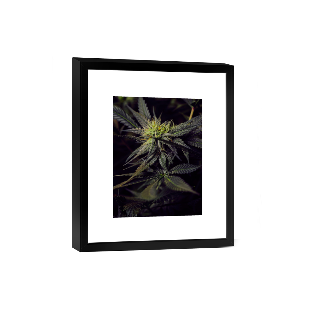 smartframe_rectangle3_4_130_0_3900_5200_0_false_ffffff_0_0.png