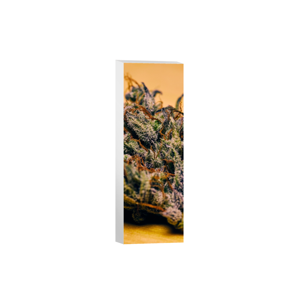 canvas_rectangle1_3_1442_0_2061_6184_0_false_ffffff_0_0.png