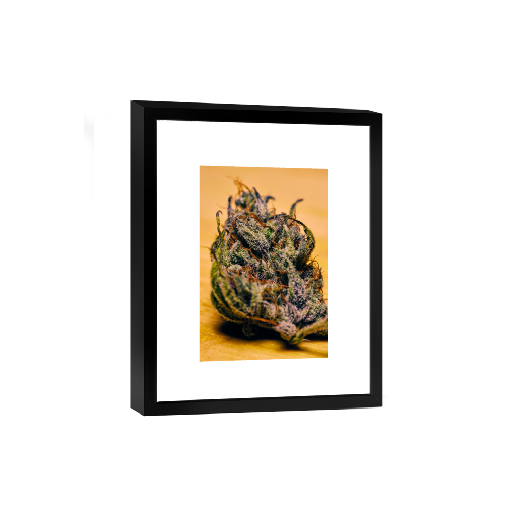 smartframe_rectangle2_3_412_0_4122_6184_0_false_ffffff_0_0.png