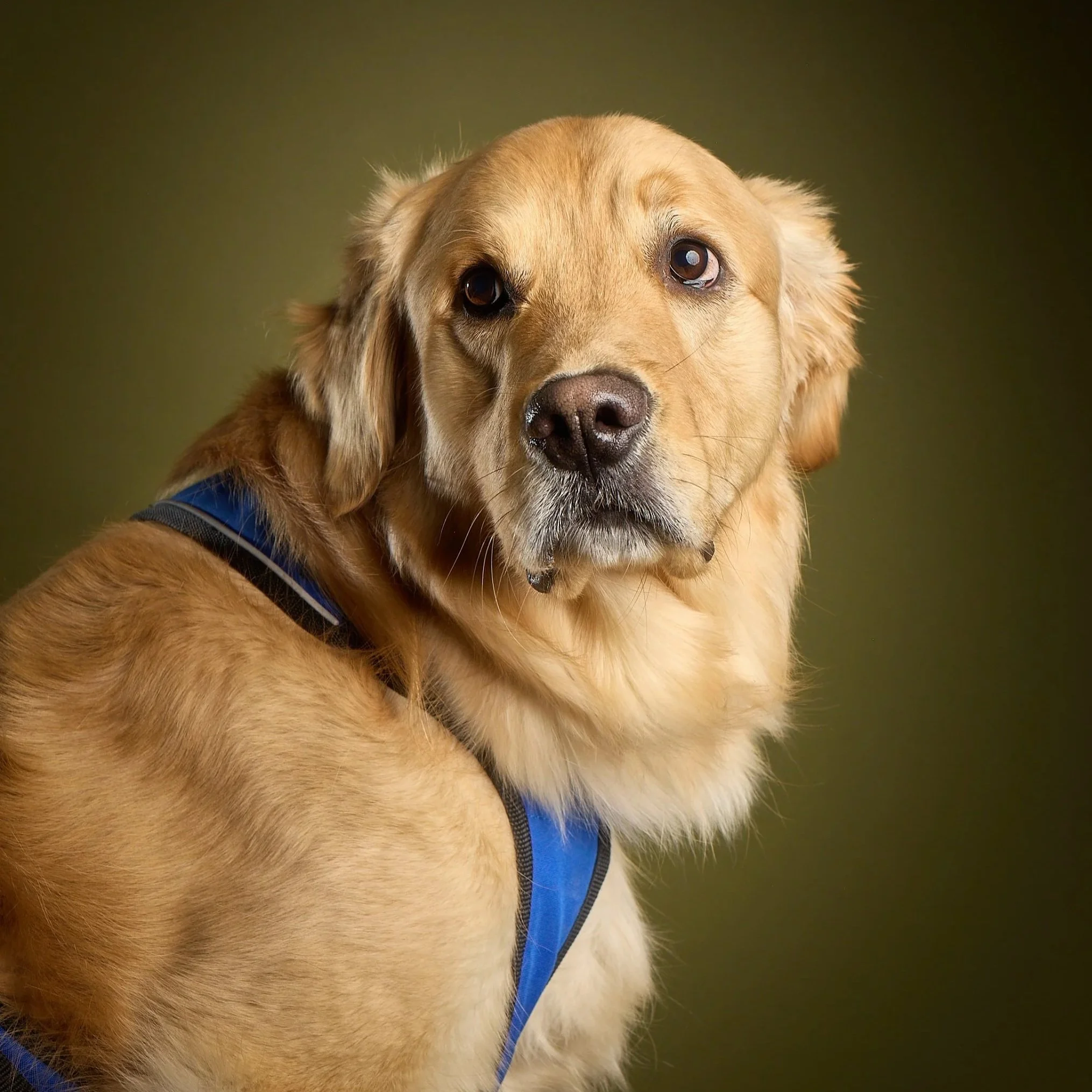 Detroitable Headshot