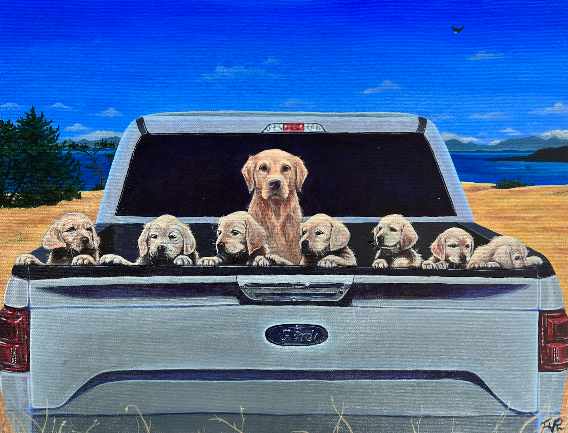 Screen Shot 2023-08-23 at 10.41.28 AM.png