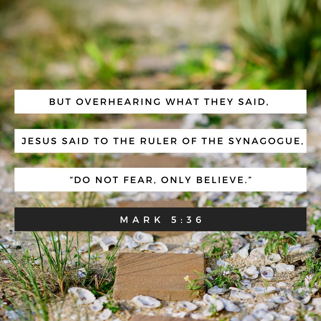 Join us this Sunday at Bridge Community Church!
9:45am: Prayer
10:00am: VBS Volunteer Meeting
10:30am: Worship Service