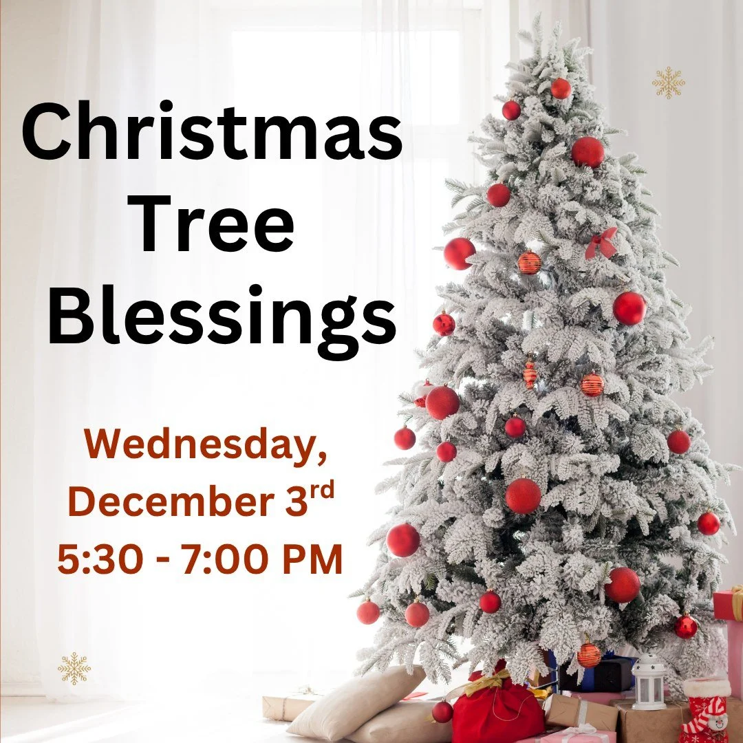 Instead of Bridge Builders this week, we will be having Christmas Tree Blessings! 
5:30pm: Meal
6:00pm: Christmas Carols and decorating our Christmas Tree together as a Church Family!