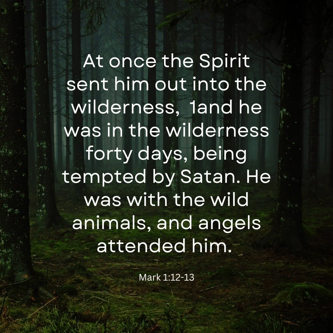 Join us for Worship this Sunday at Bridge Community Church!
8:30am: Prayer Team
9:00am: Sunday School (PreK-Adults)
10:00am: Coffee &amp; Fellowship
10:30am: Worship Service