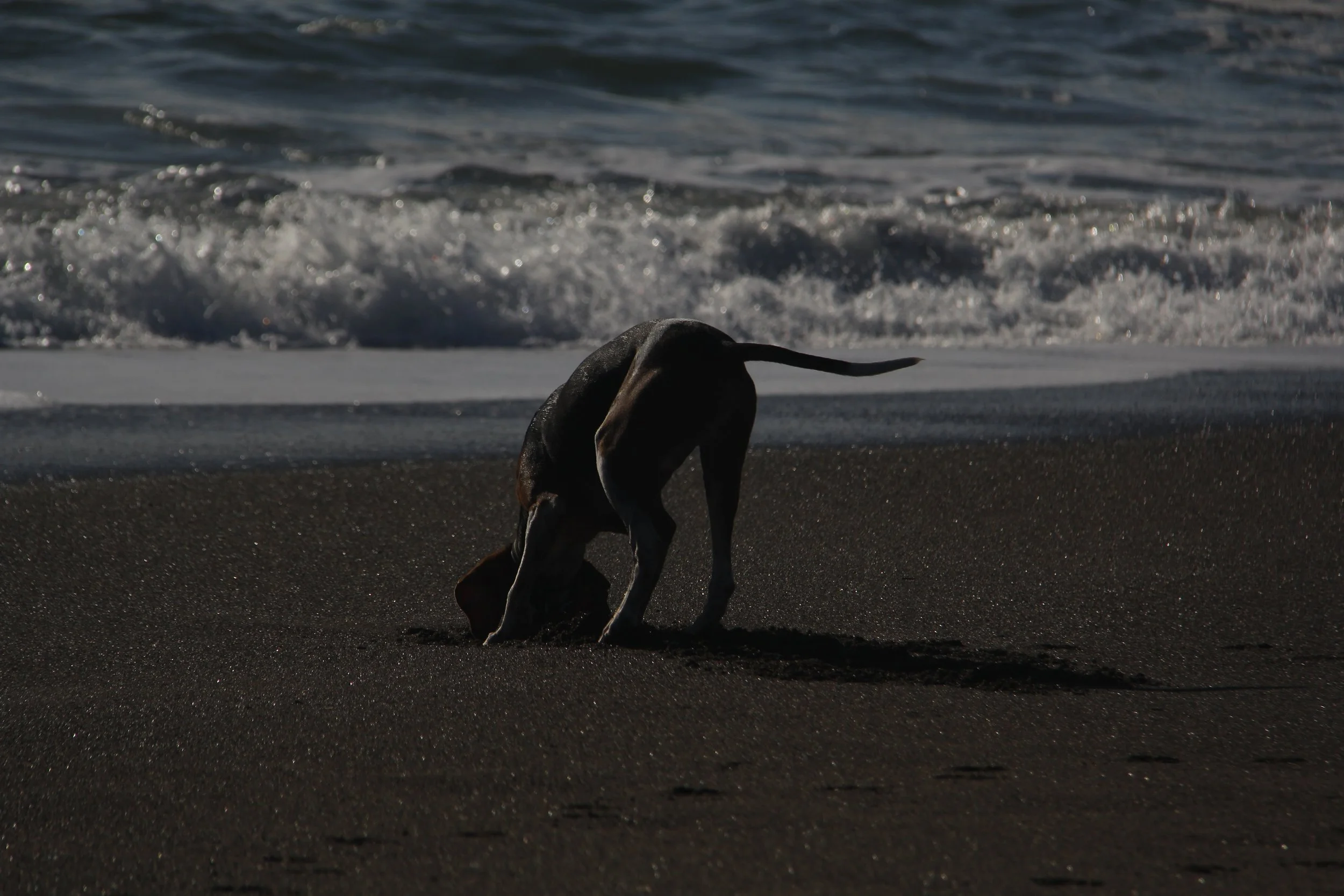 IMG_8579.JPG