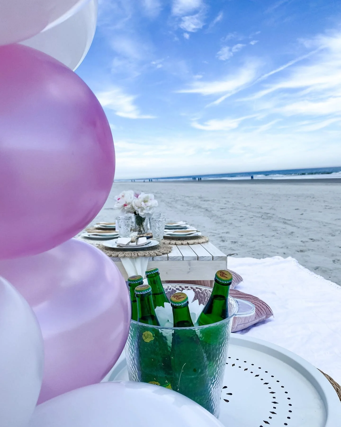 Picnic Party Jacksonville