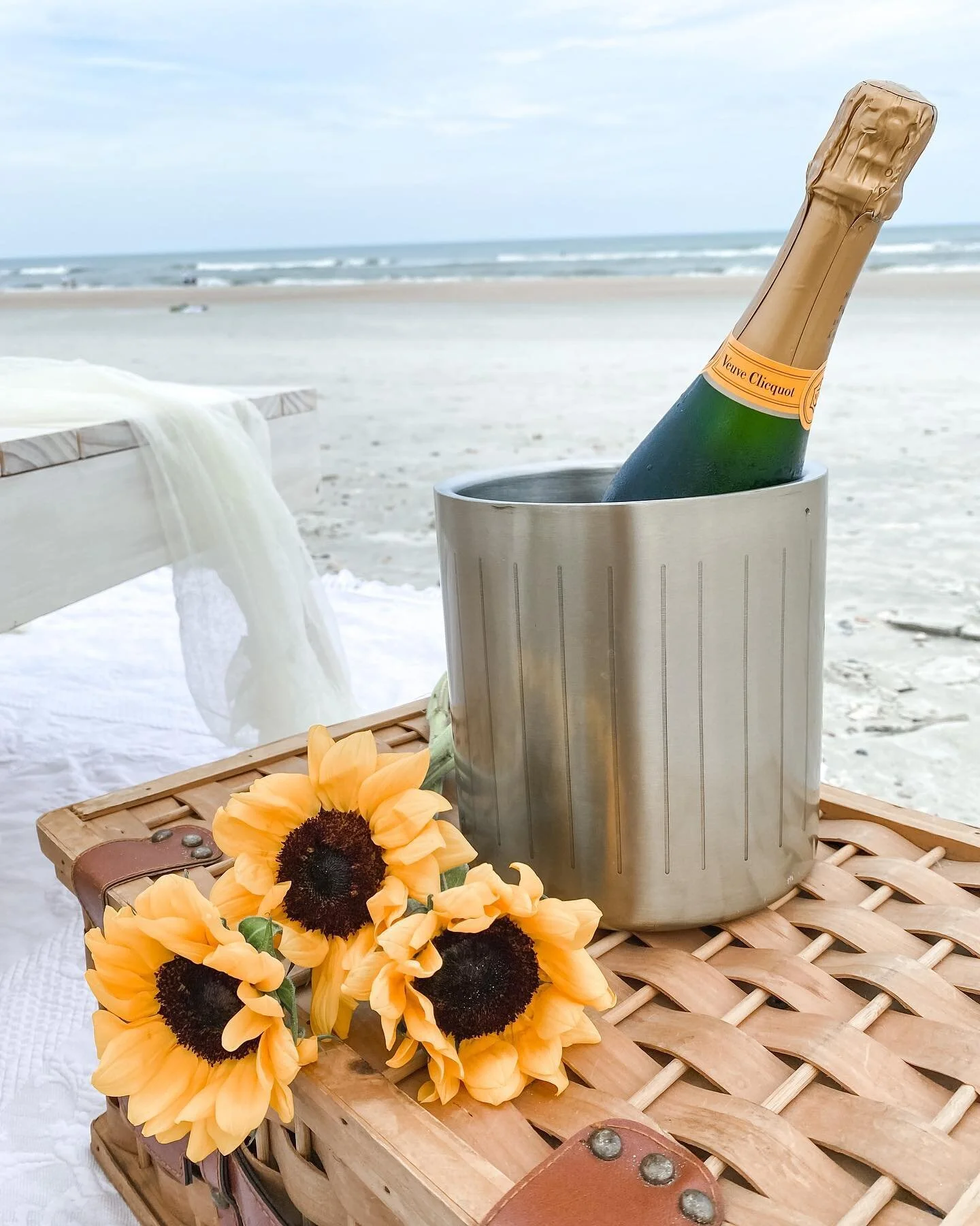 Picnic Party Jacksonville