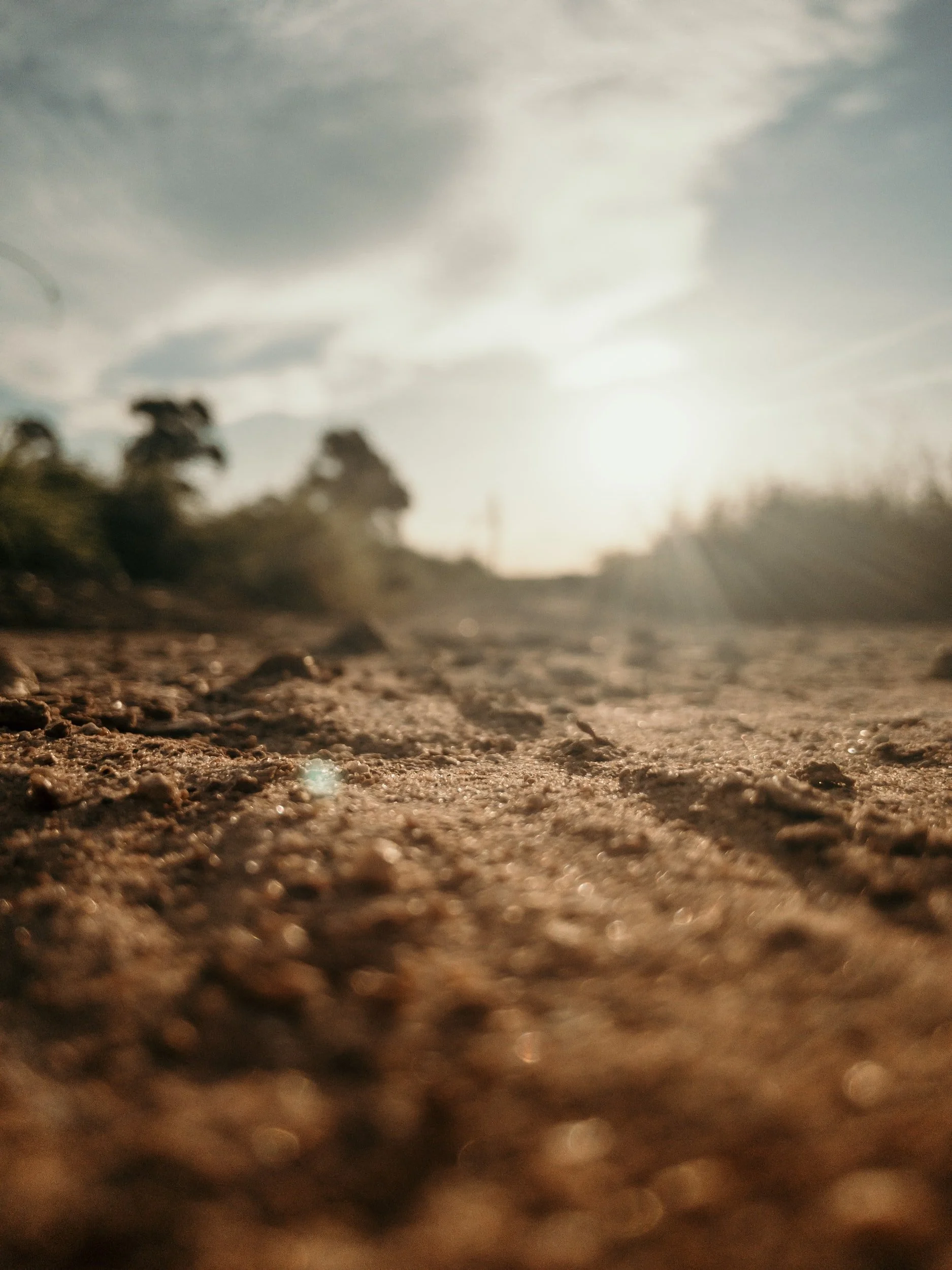 The Parable of the Soils
