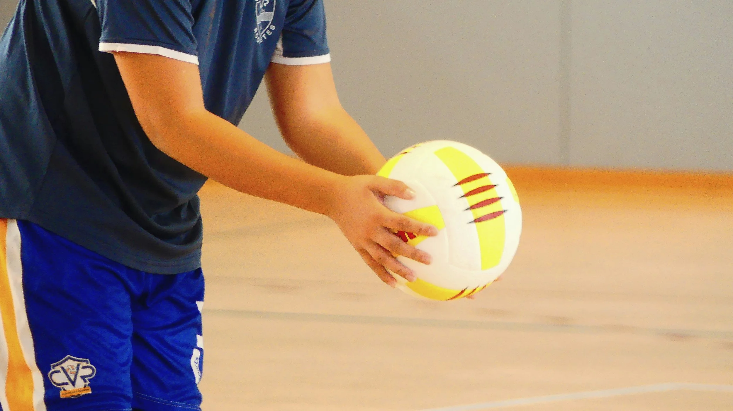 LTC Volleyball Fellowship