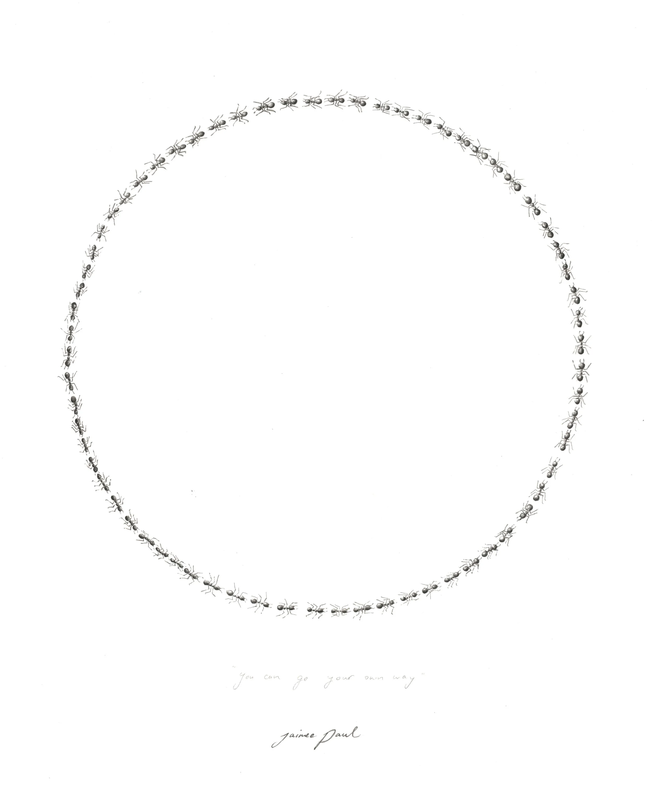 Paul Jaimee-You Can Go Your Own Way-52.5x59.5cm-$810-Watercolour On Paper-Web-Res.jpg