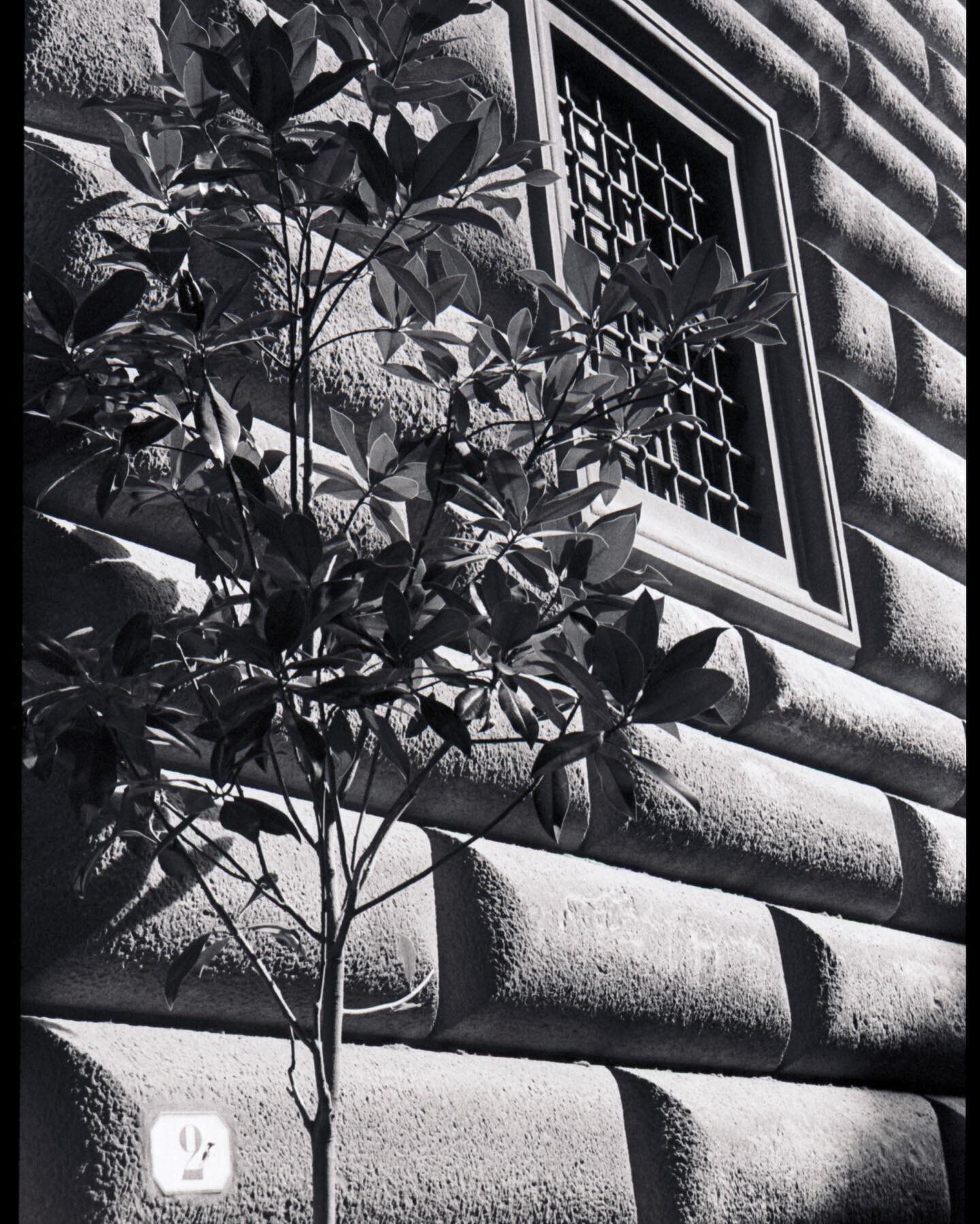 Florence, Palazzo Gondi