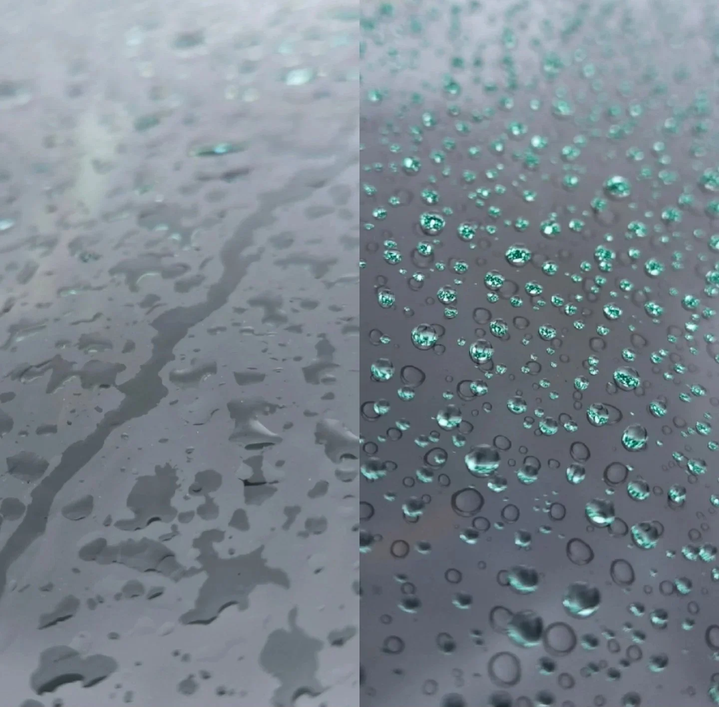 What Glass Coatings Actually Do (and What They Don’t)