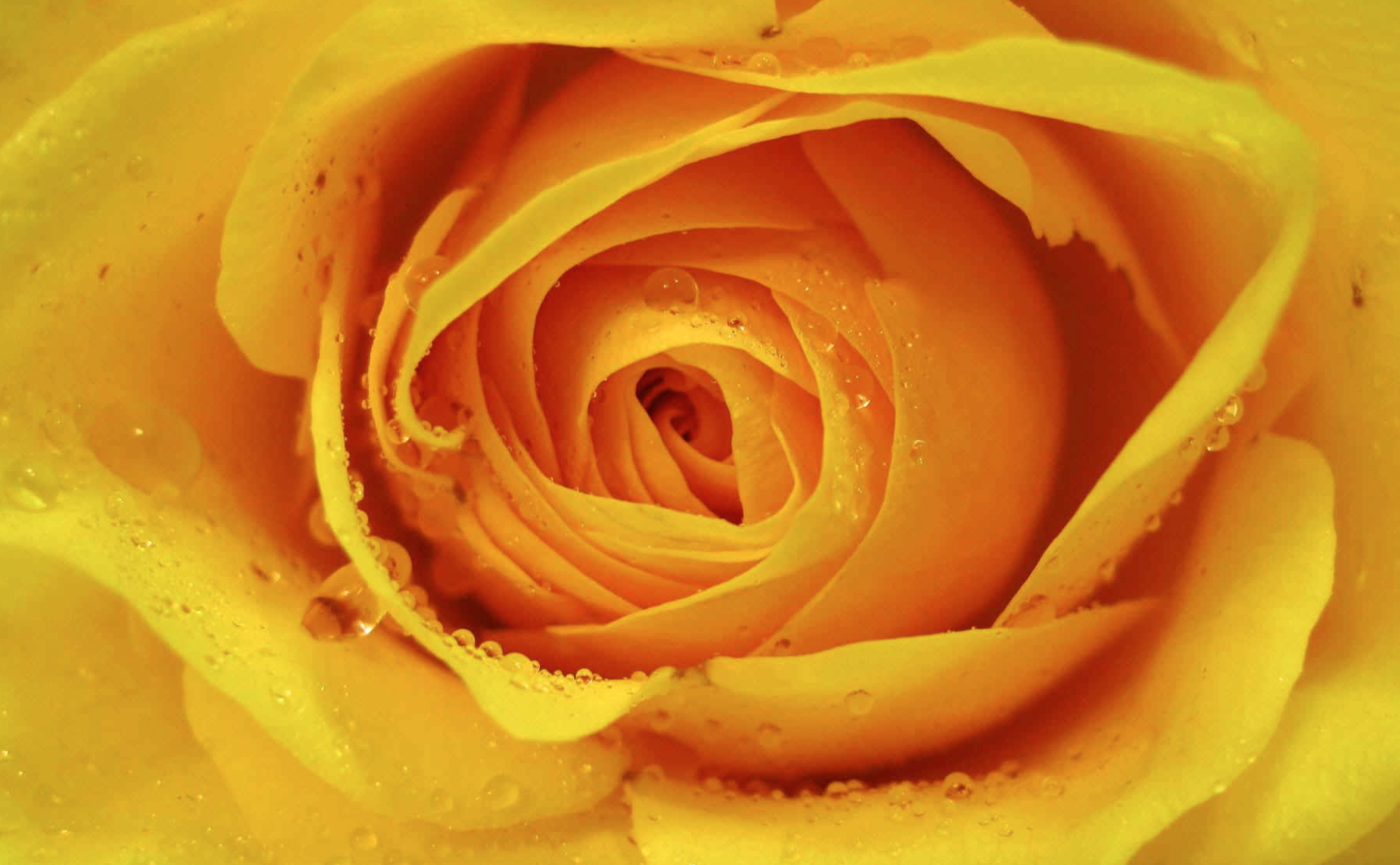 Cycle Nutrition Guidance