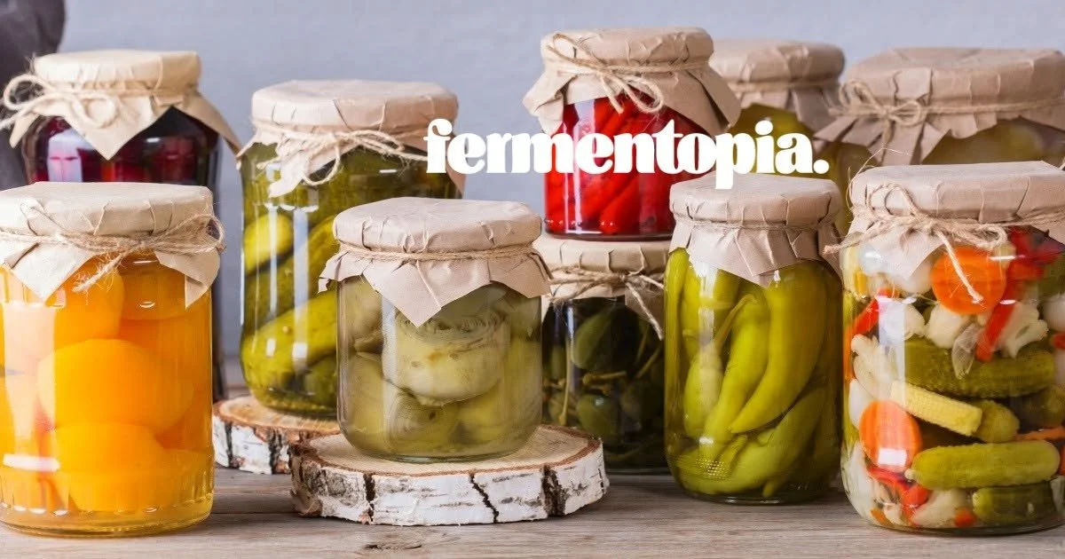 Fermentopia