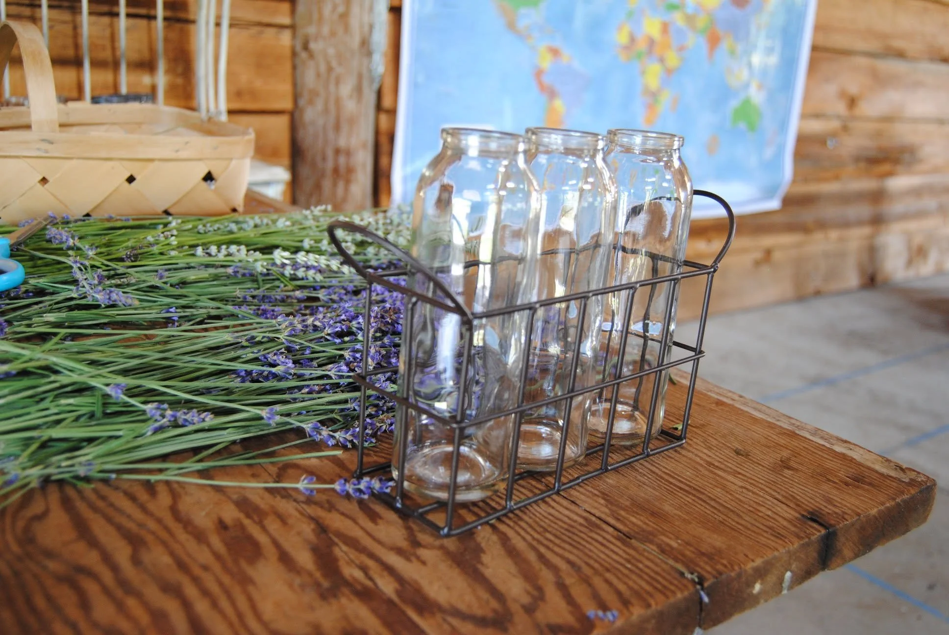 Applegate River Lavender Farm - What to do in Southern Oregon - U-Pick