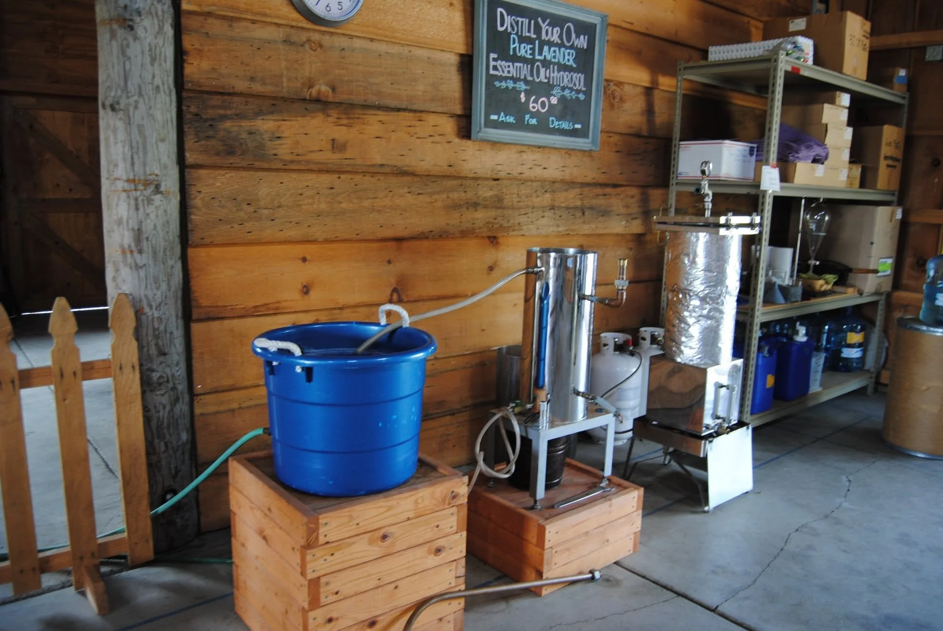 Applegate River Lavender Farm - What to do in Southern Oregon - U-Pick