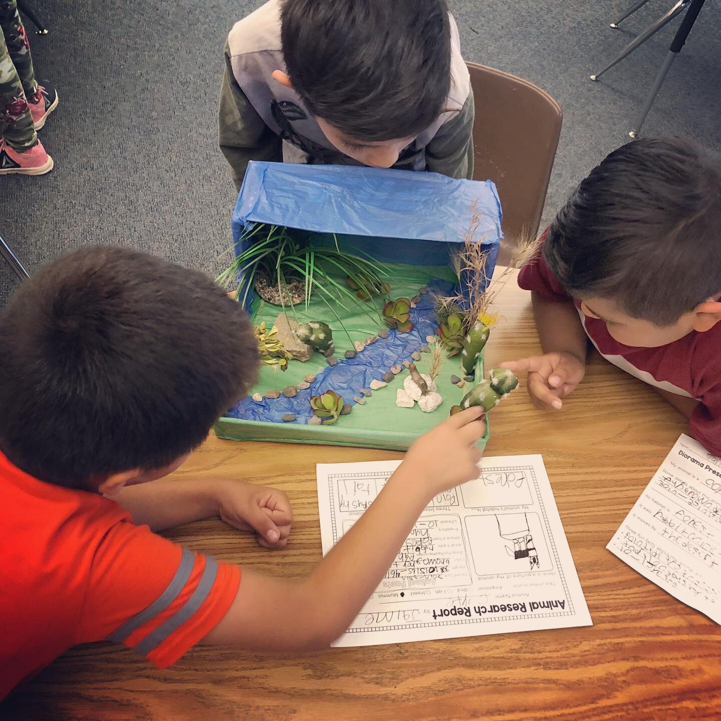 My students had so much fun presenting their amazing dioramas to their classmates yesterday!  We did small group presentations at their table groups, and then the presenters got up with their dioramas and switched to the next group after 2 minutes.  