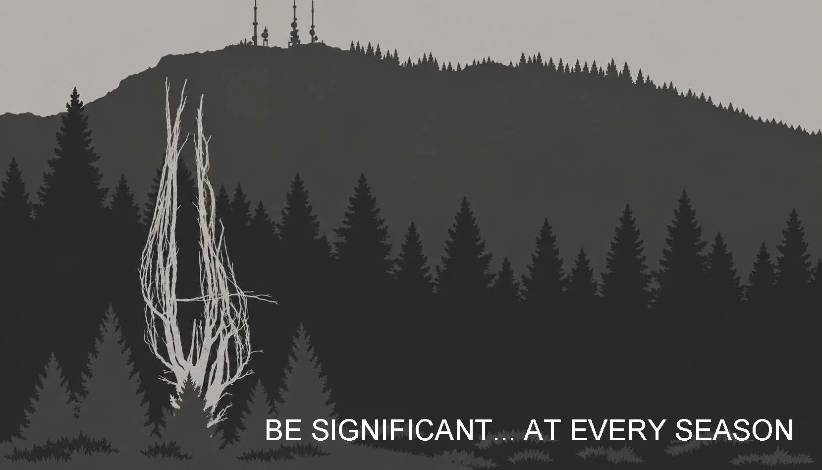 Card Background.jpg