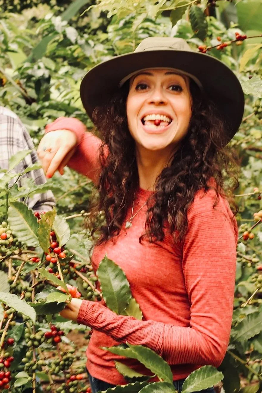 A woman with curly dark hair wearing a wide-brimmed hat and a red long-sleeve shirt, smiling and sticking her tongue out, surrounded by coffee plants with ripe red and green coffee cherries.