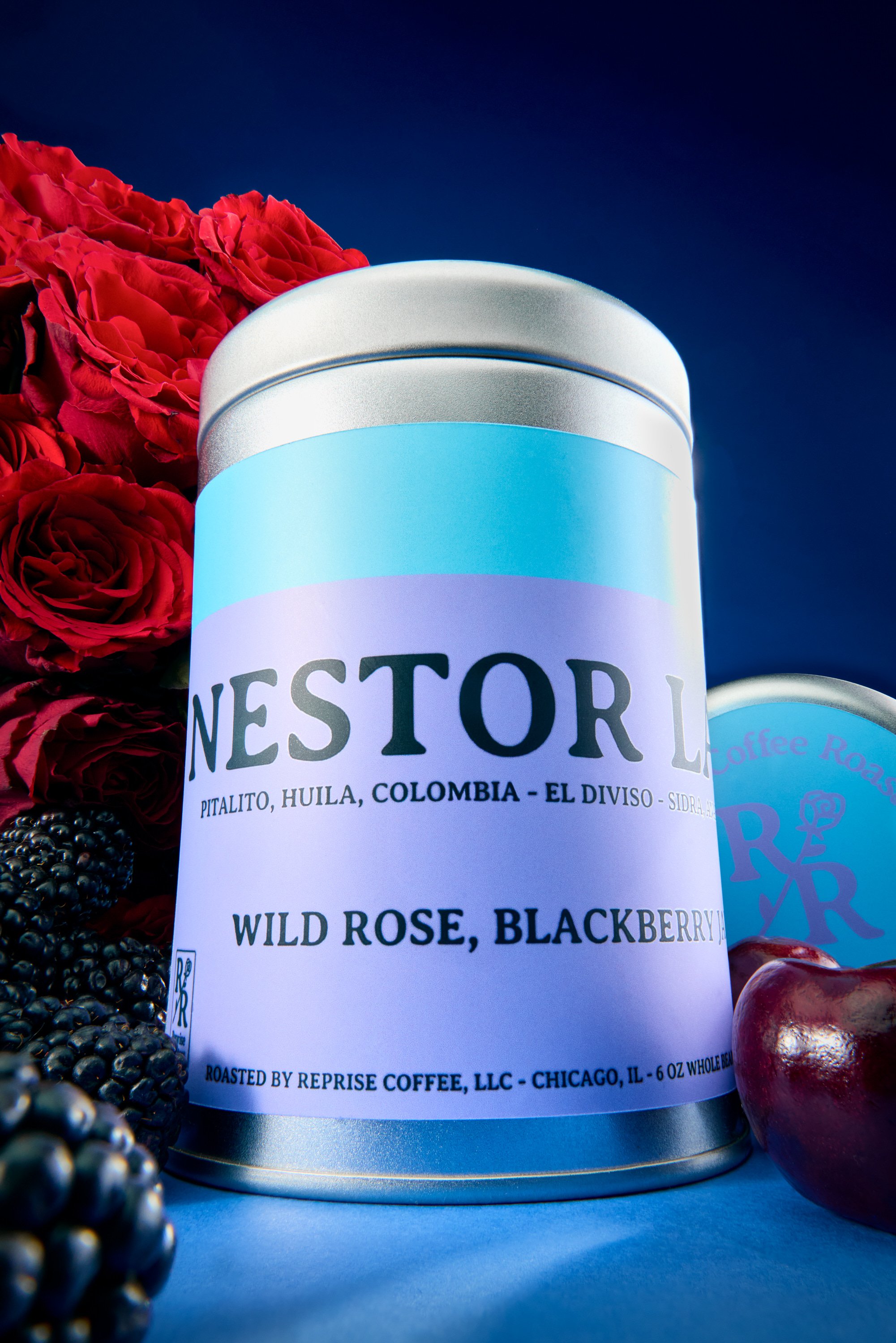 20260129_Reprise_9188_Stack 1_WEB.JPG