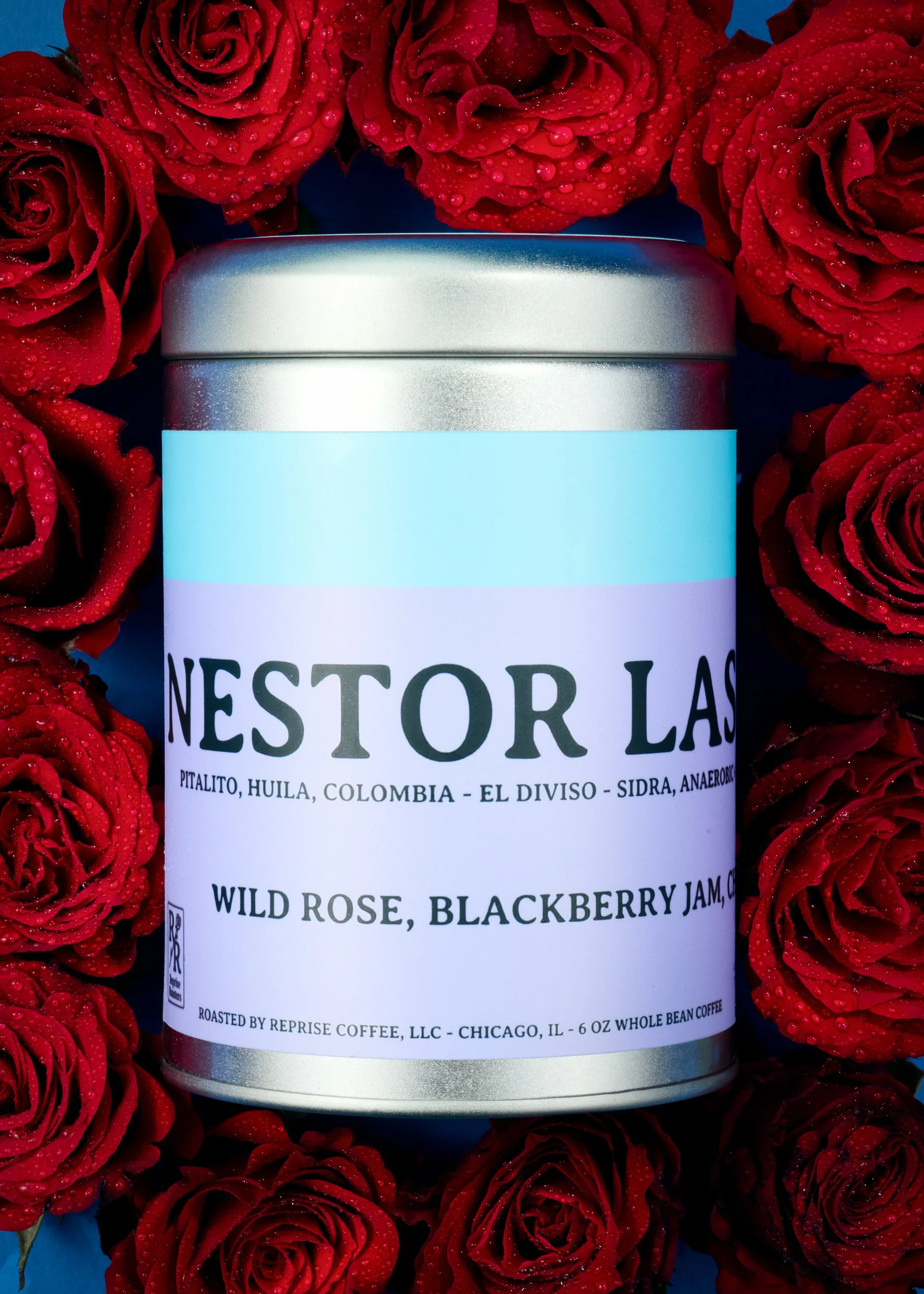 20260129_Reprise_9266_Stack 1_WEB.JPG