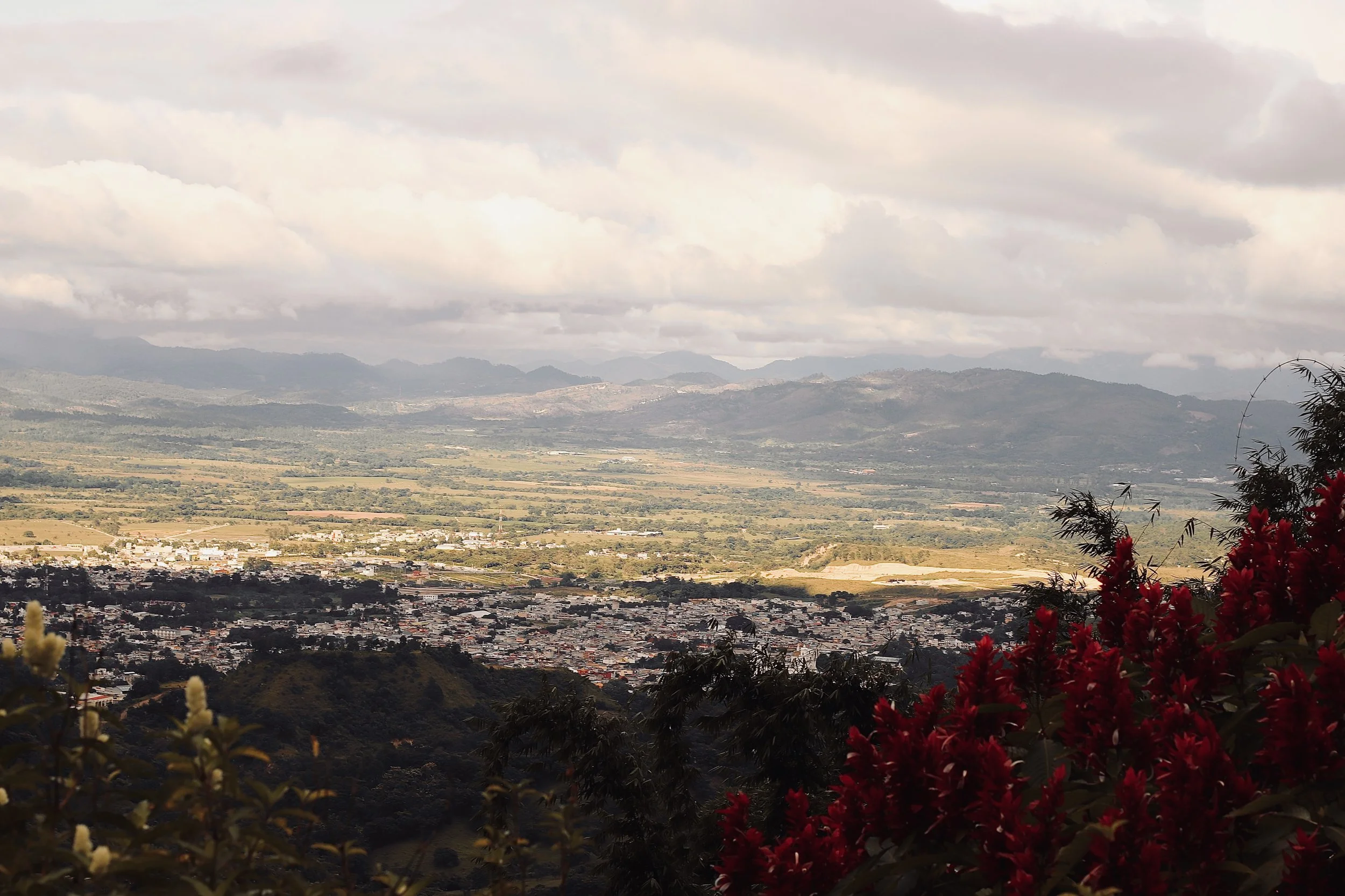 Scenic view of a valley with town houses, surrounded by mountains under cloudy sky, with red flowers in the foreground.