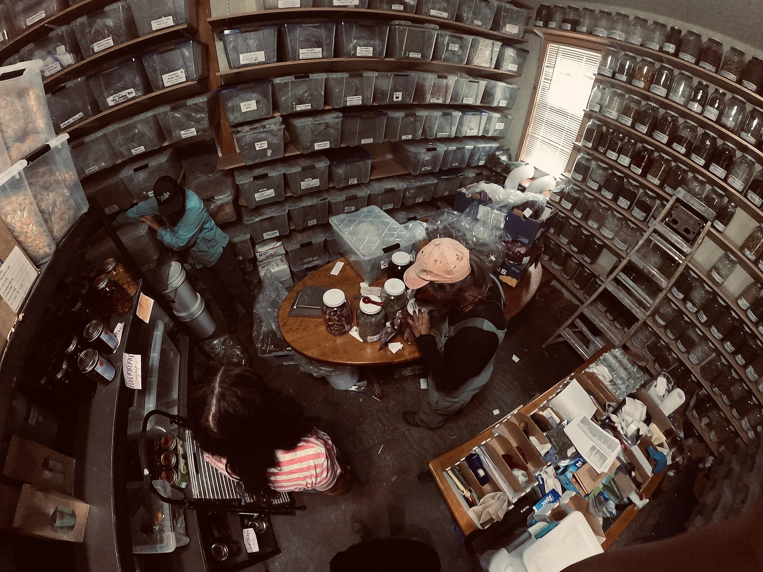 GPTempDownload 4.jpg